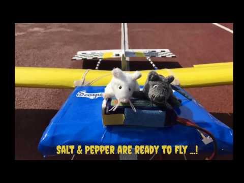 2 Mice flying RC Plane...!!