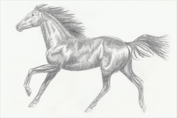 2-Clean-Horse-Sketches.jpg