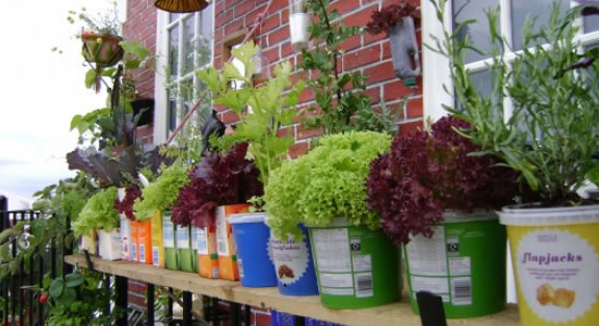 2-Windowsill-Garden.jpg