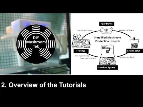 2. Overview of the Tutorials