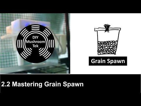 2.2 Mastering Grain Spawn