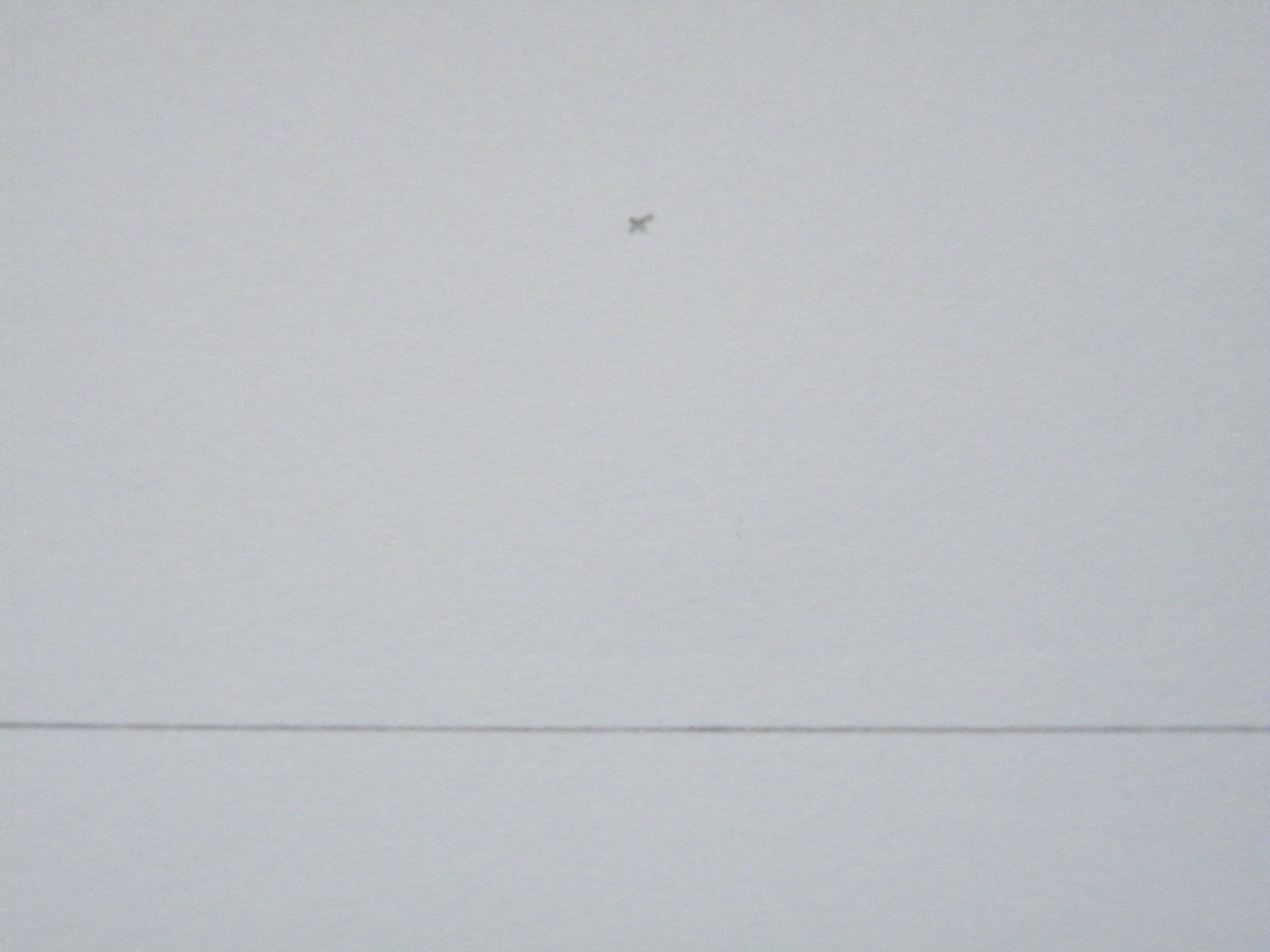 2009_0103_drawing_0309.JPG