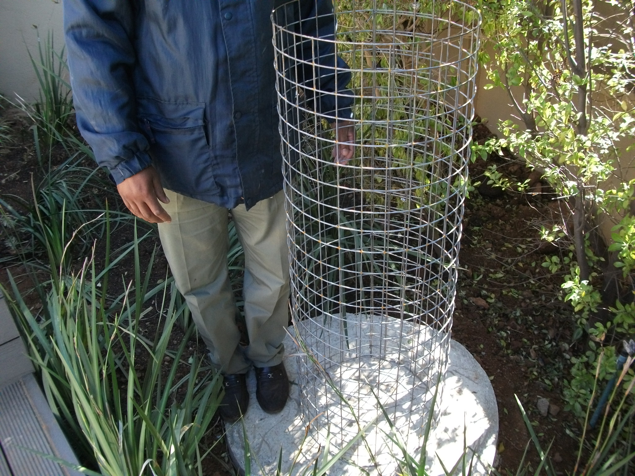 2010-07-12-011.JPG
