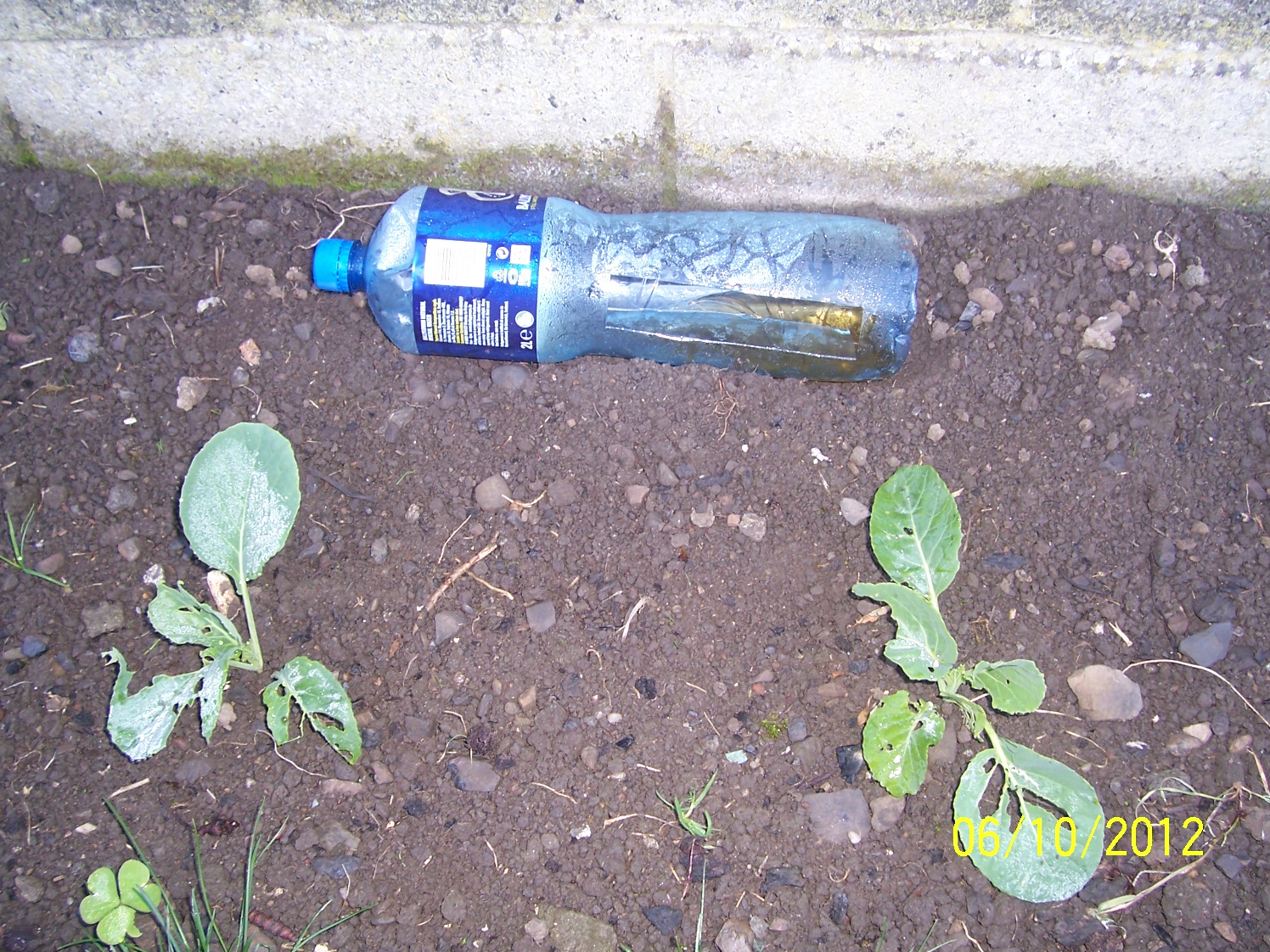 2012 Dublin, slug trap (4).jpg