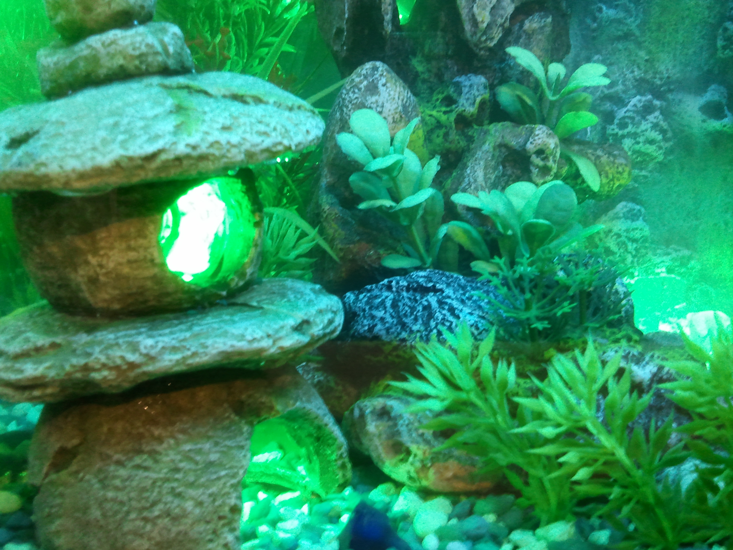 2012-06-29 17.08.24.jpg