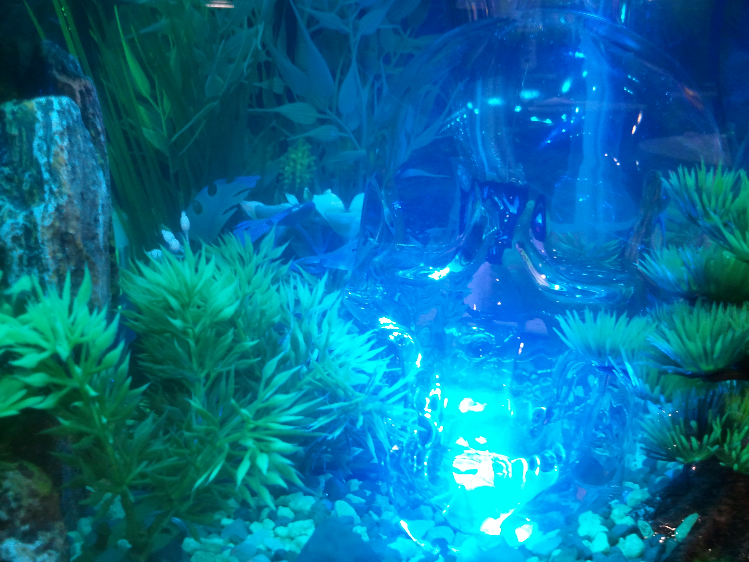 2012-06-29 17.08.33.jpg