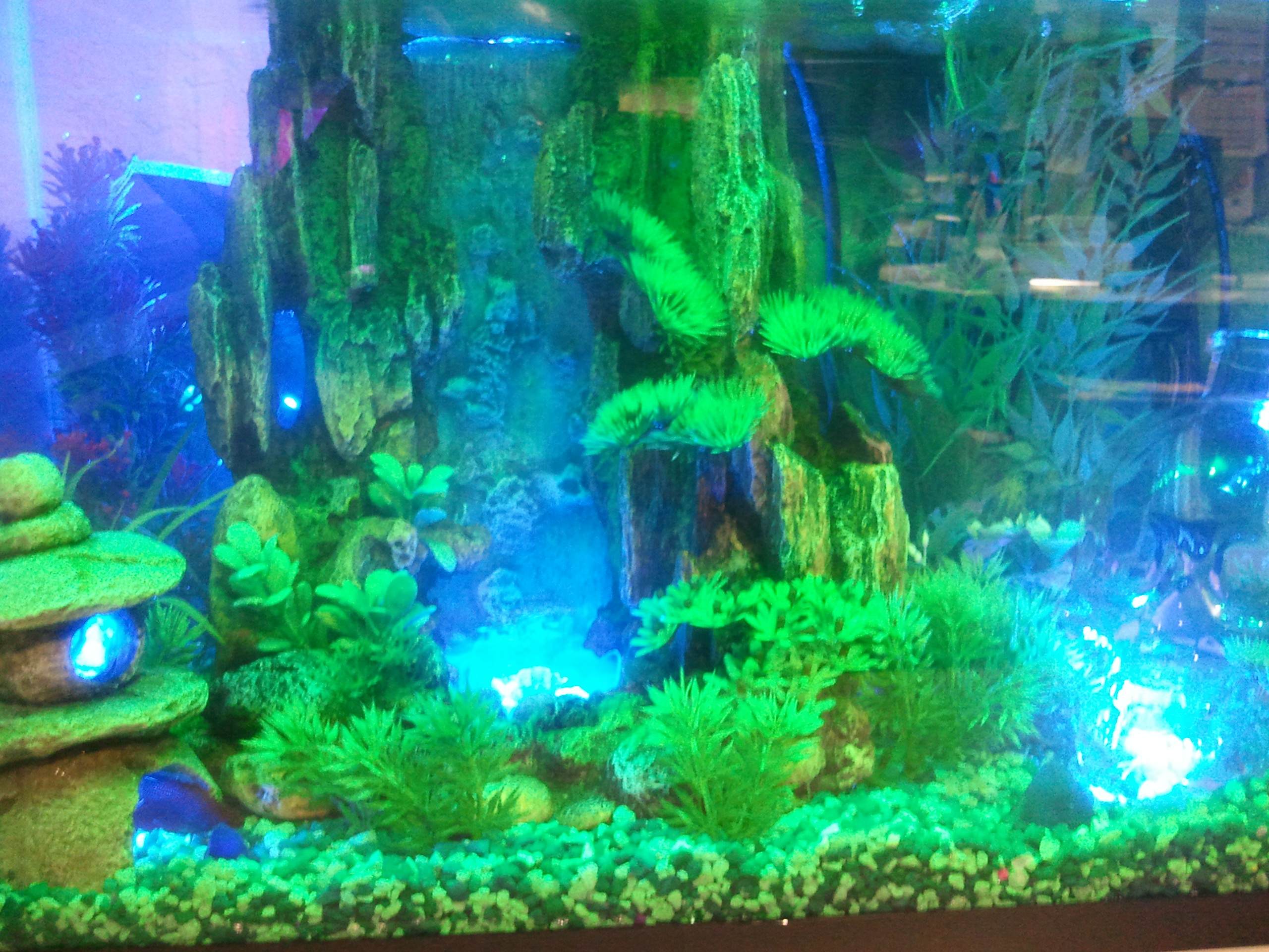 2012-06-29 17.09.22.jpg