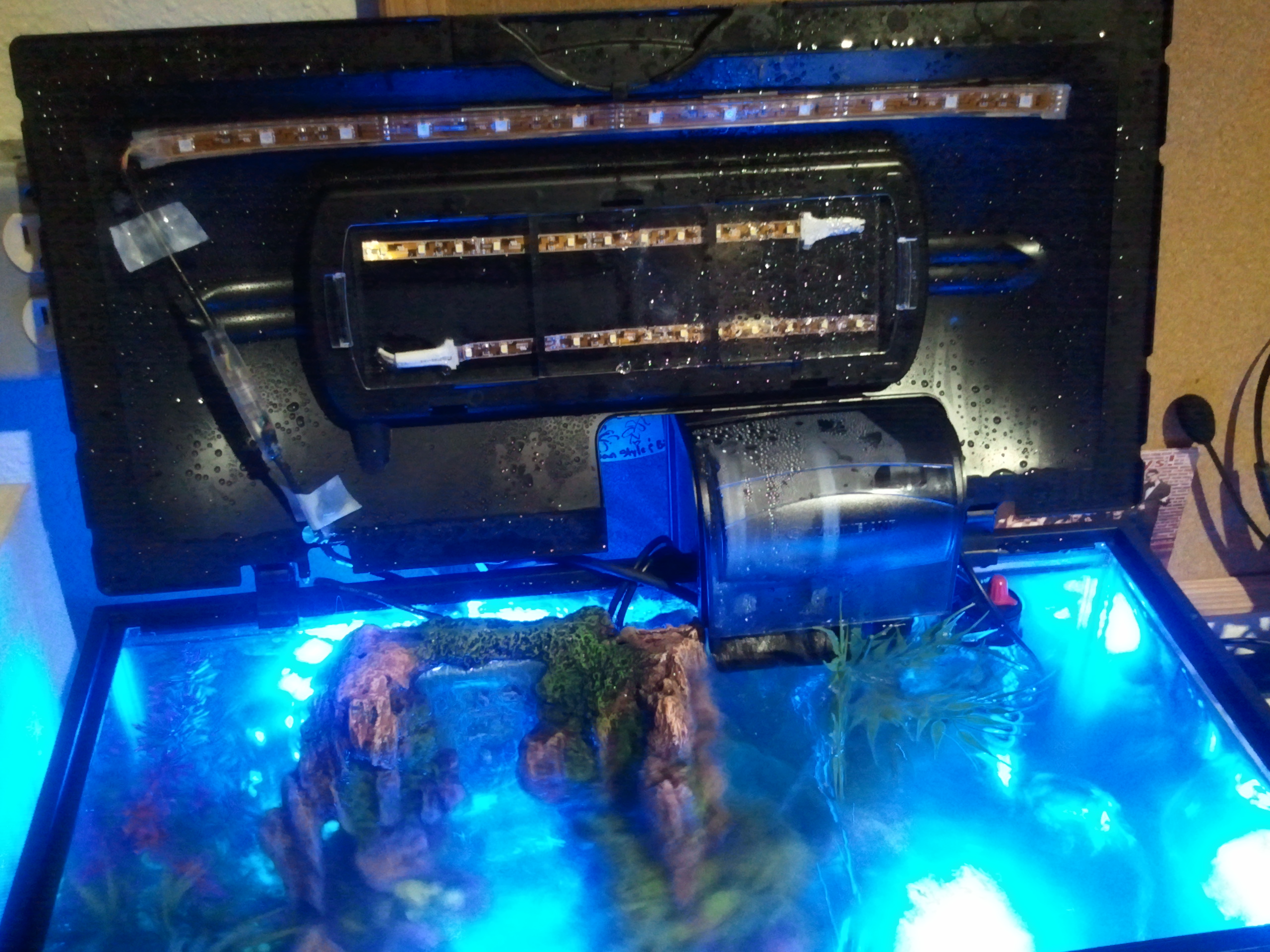 2012-06-29 17.09.47.jpg