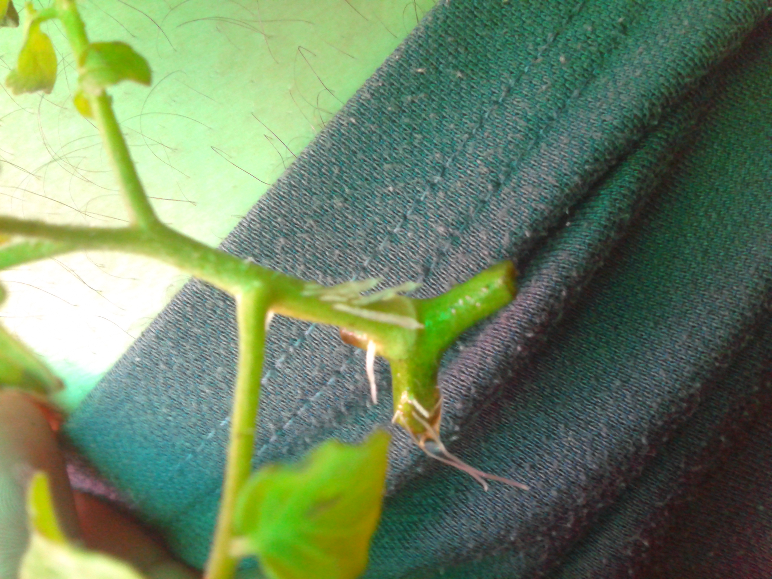 2013-10-04 08.09.12.jpg