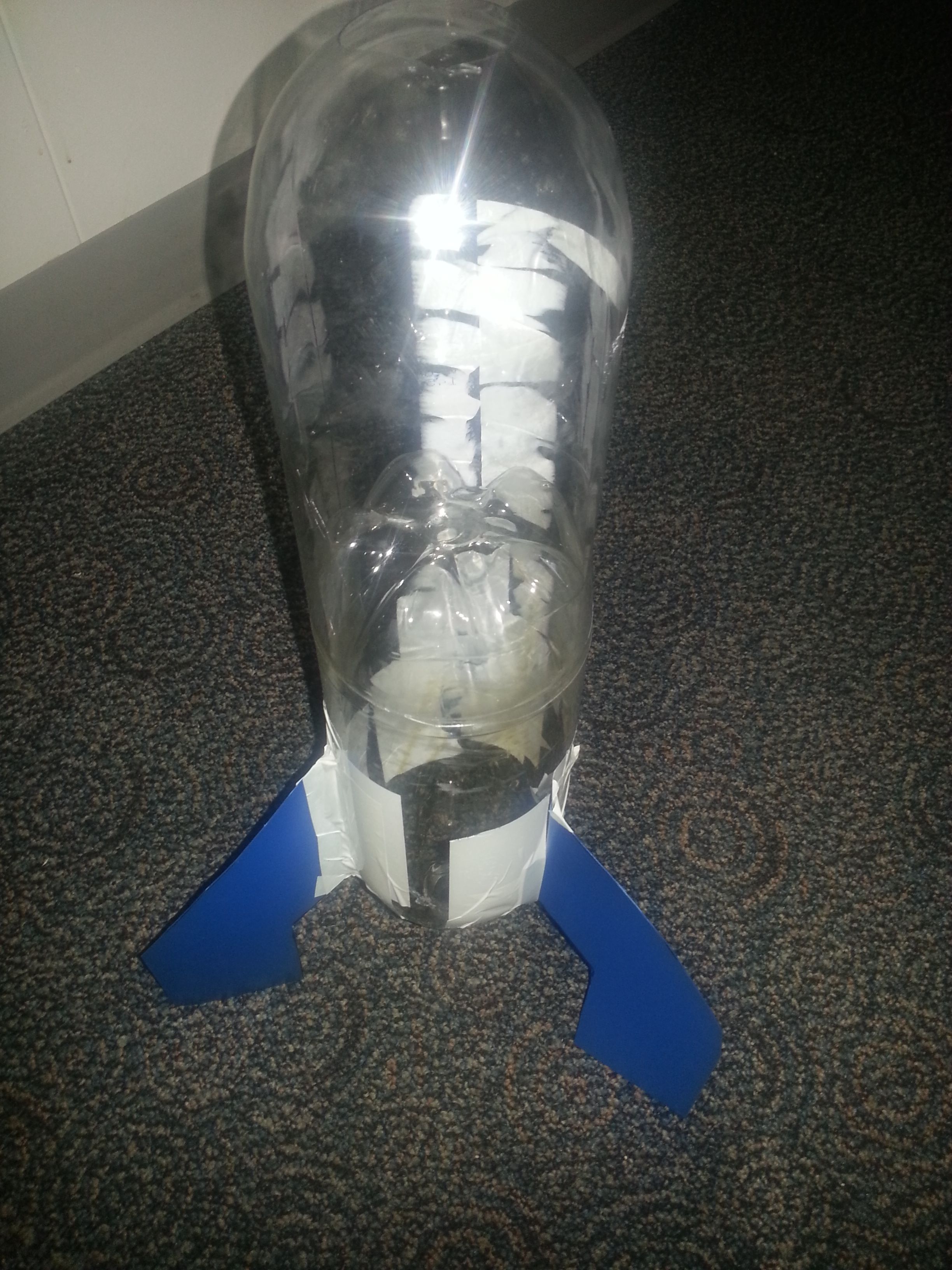 20130729_124846-1.jpg