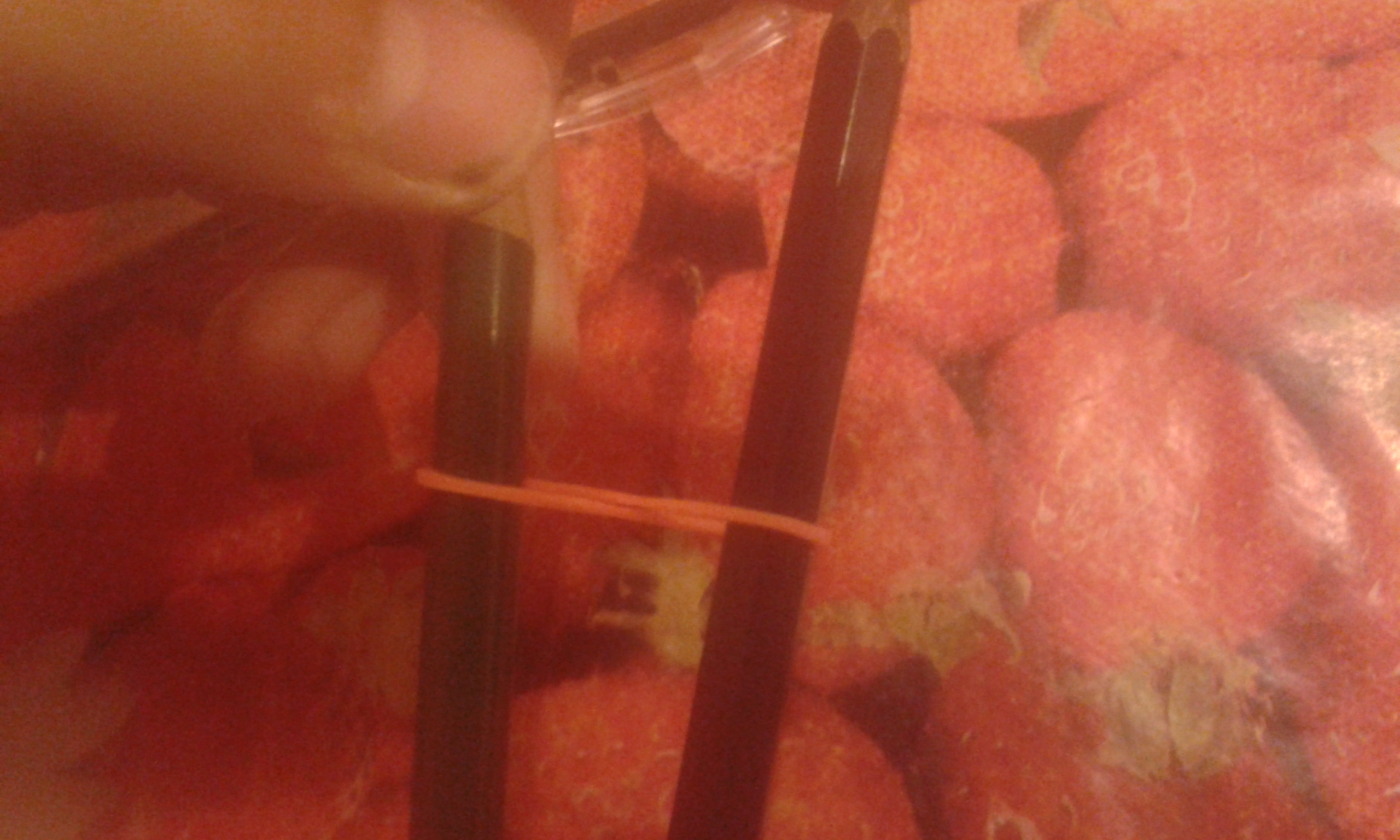 20140912_234938.jpg