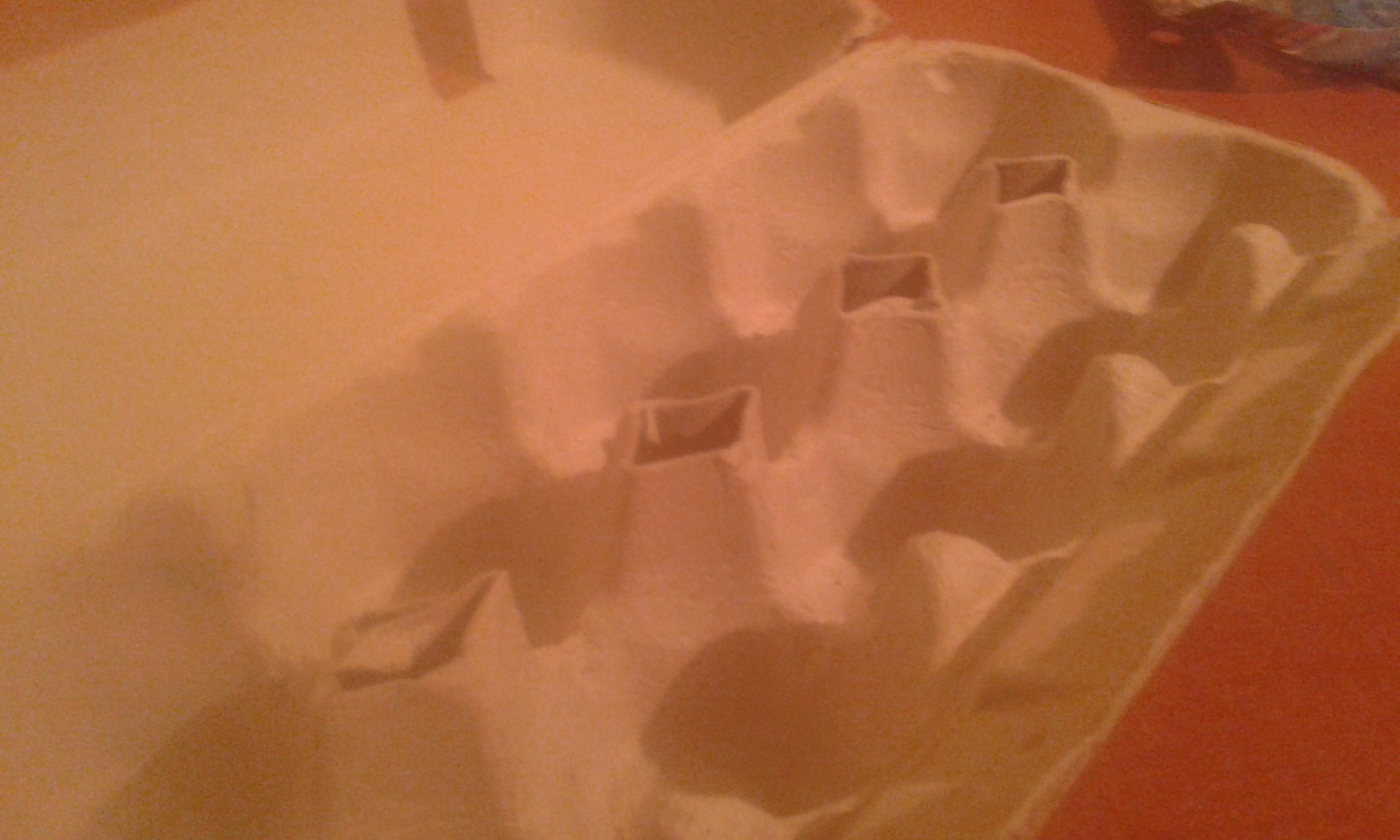 20140924_205017.jpg