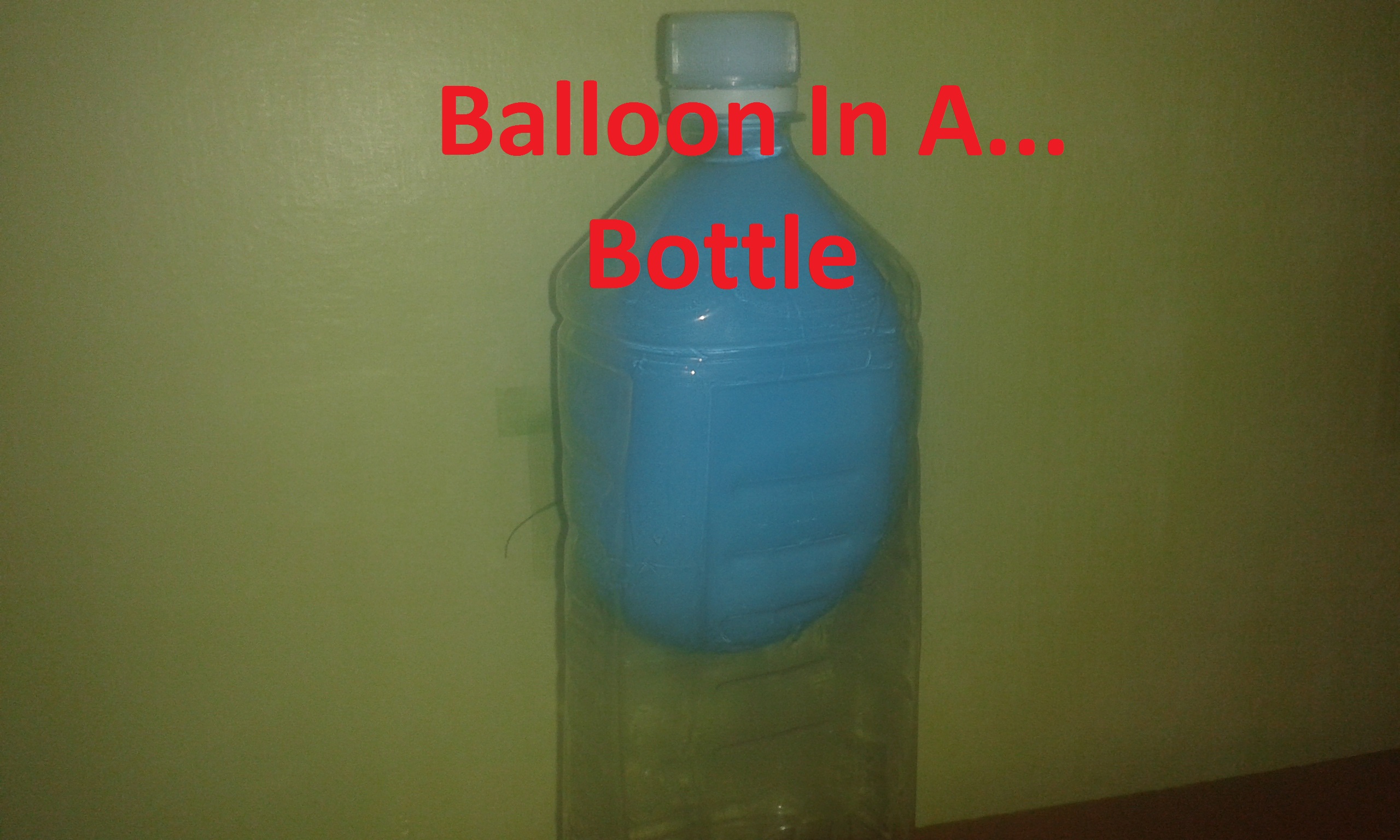 20141002_195019.jpg