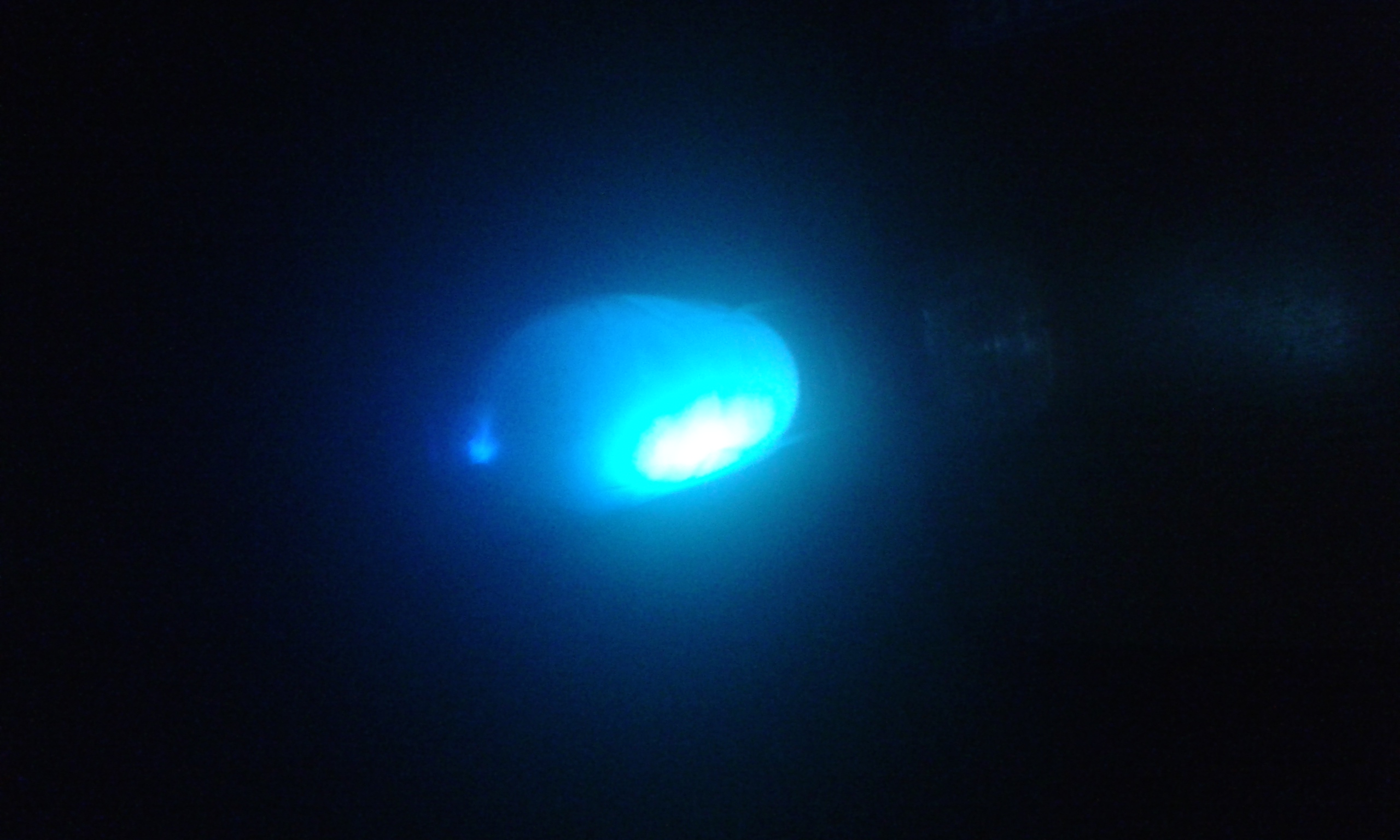 20141002_220350.jpg