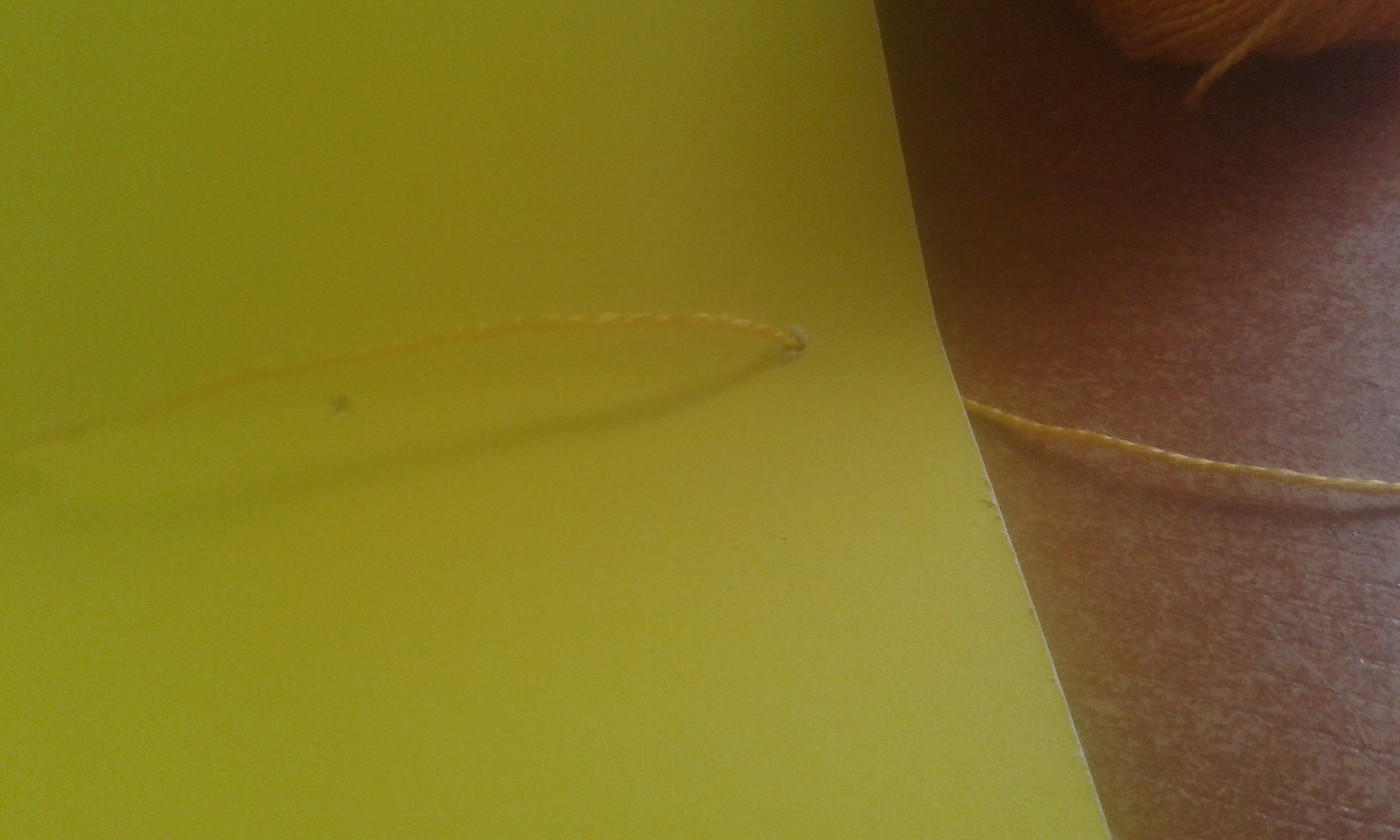 20141004_153737.jpg