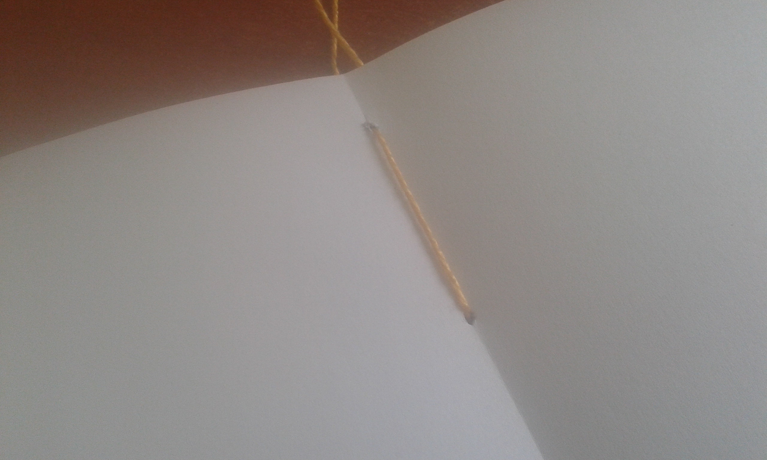 20141004_154200.jpg