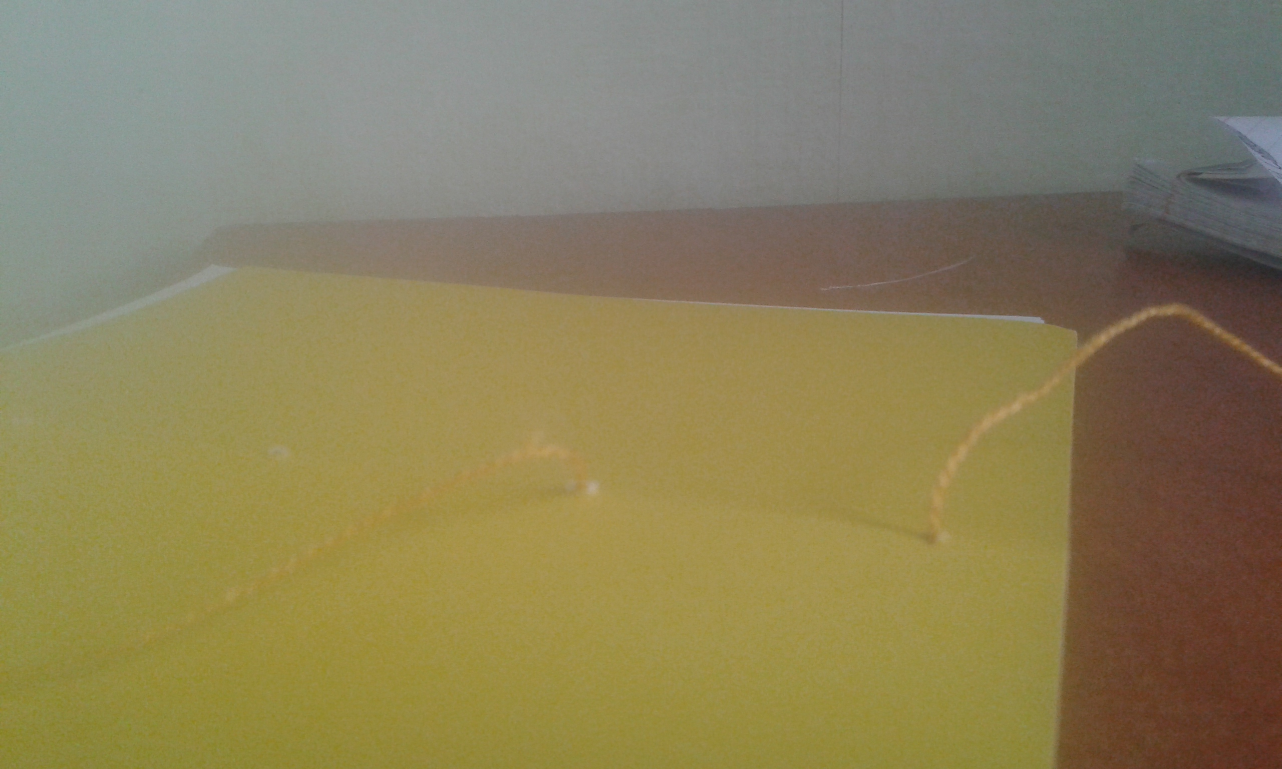 20141004_154333.jpg