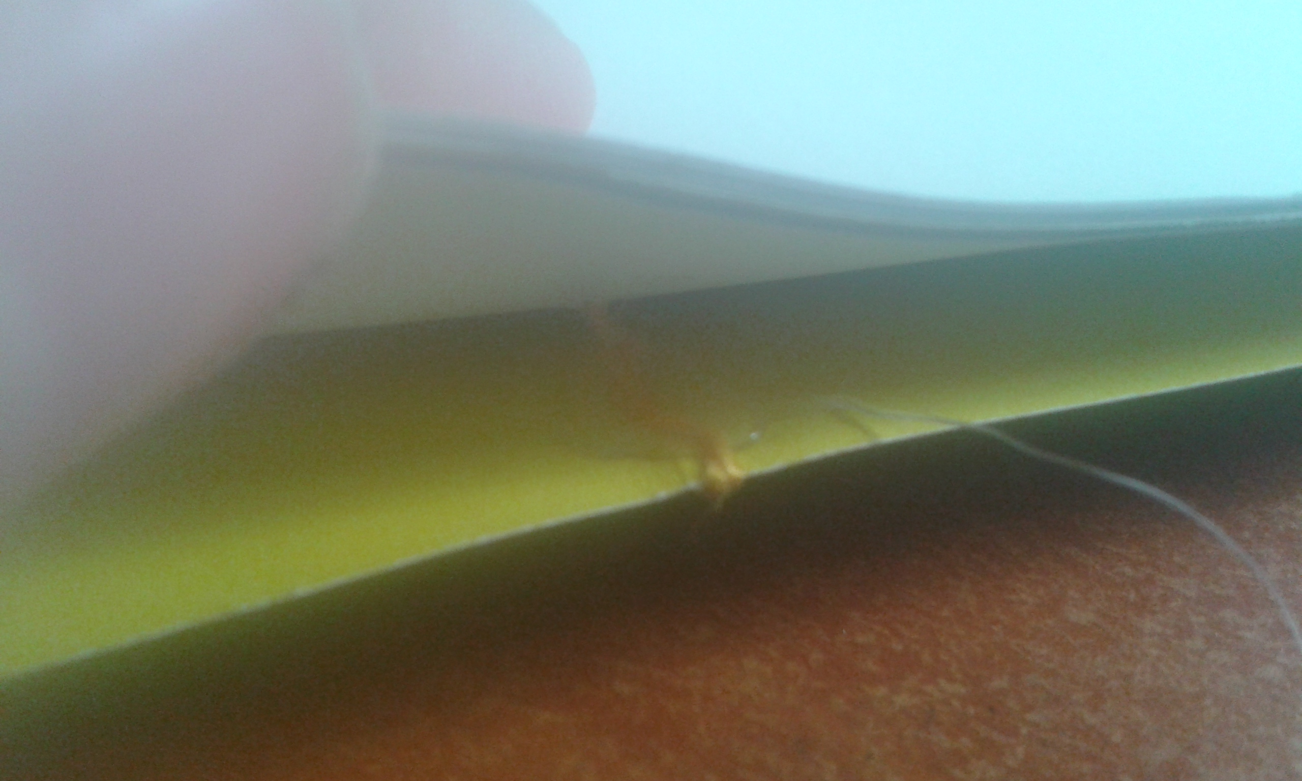 20141004_160252.jpg