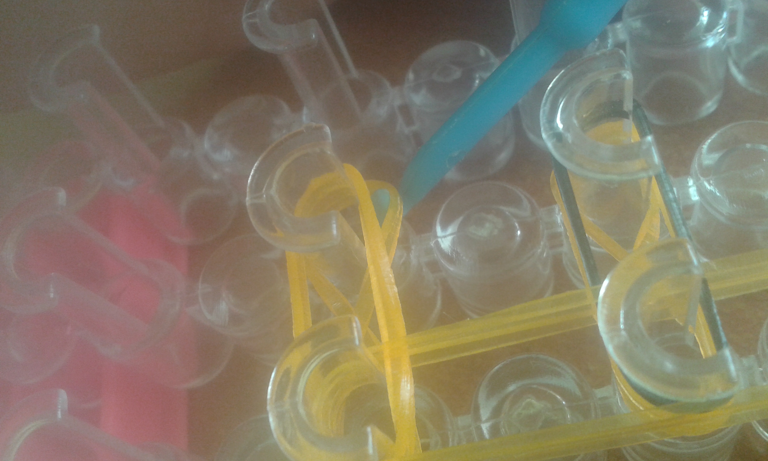 20141006_142846.jpg