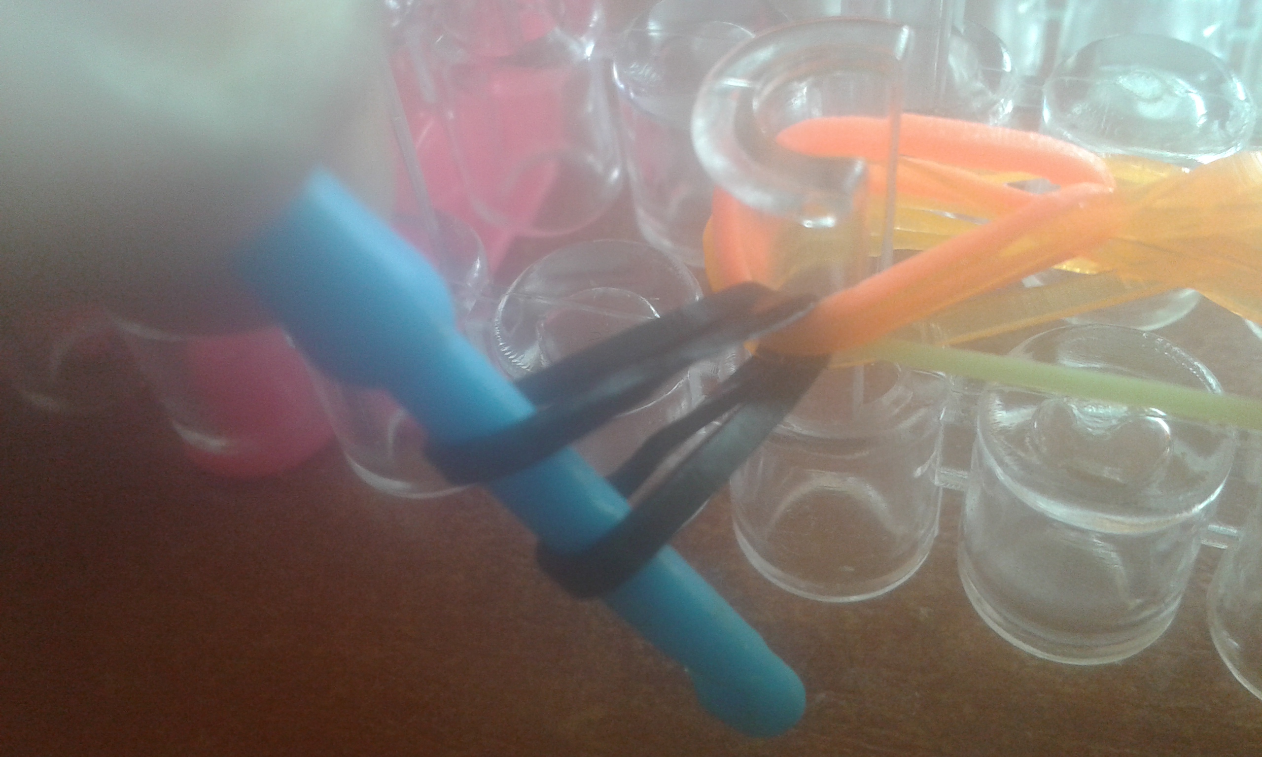 20141006_144734.jpg