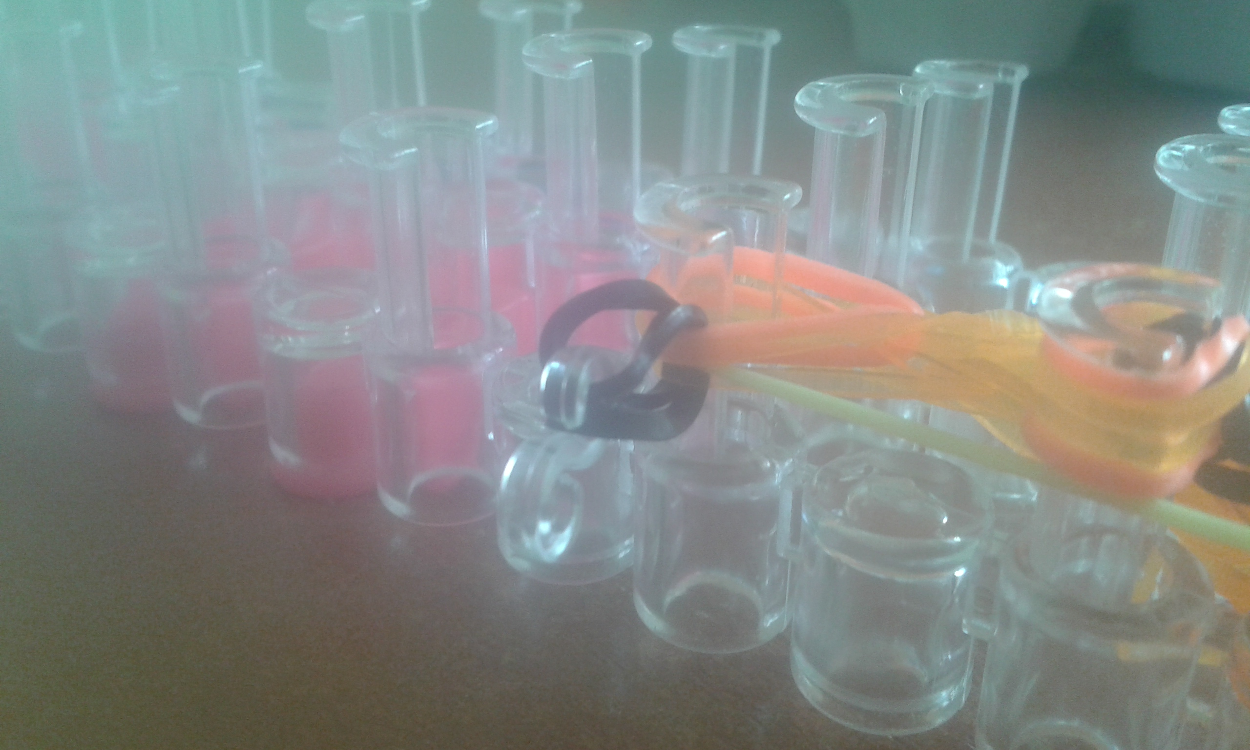 20141006_144749.jpg