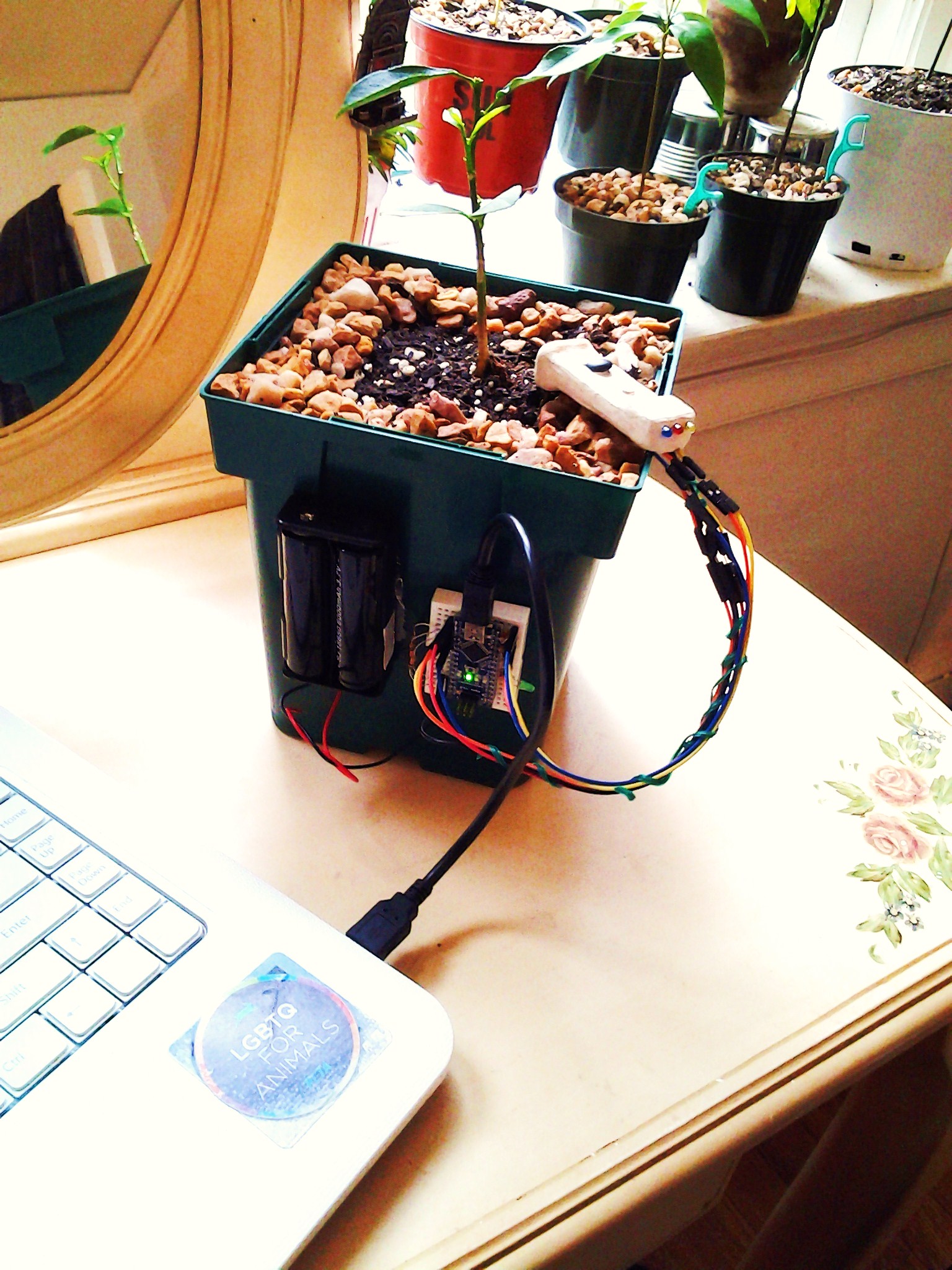 20141117_144817.jpg