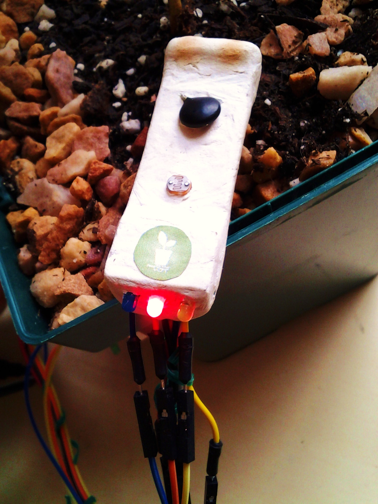 20141117_145453.jpg