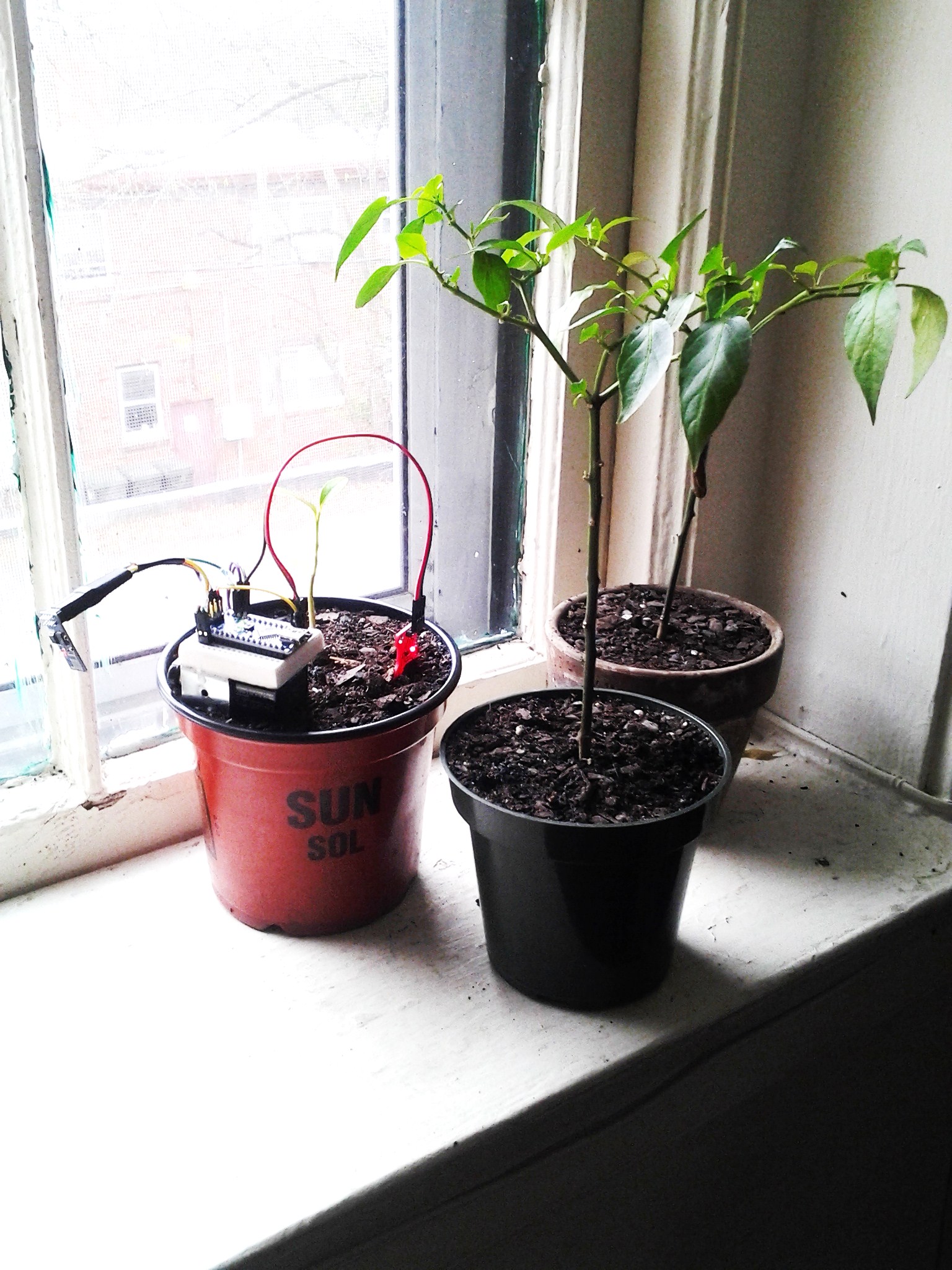 20141208_122948.jpg