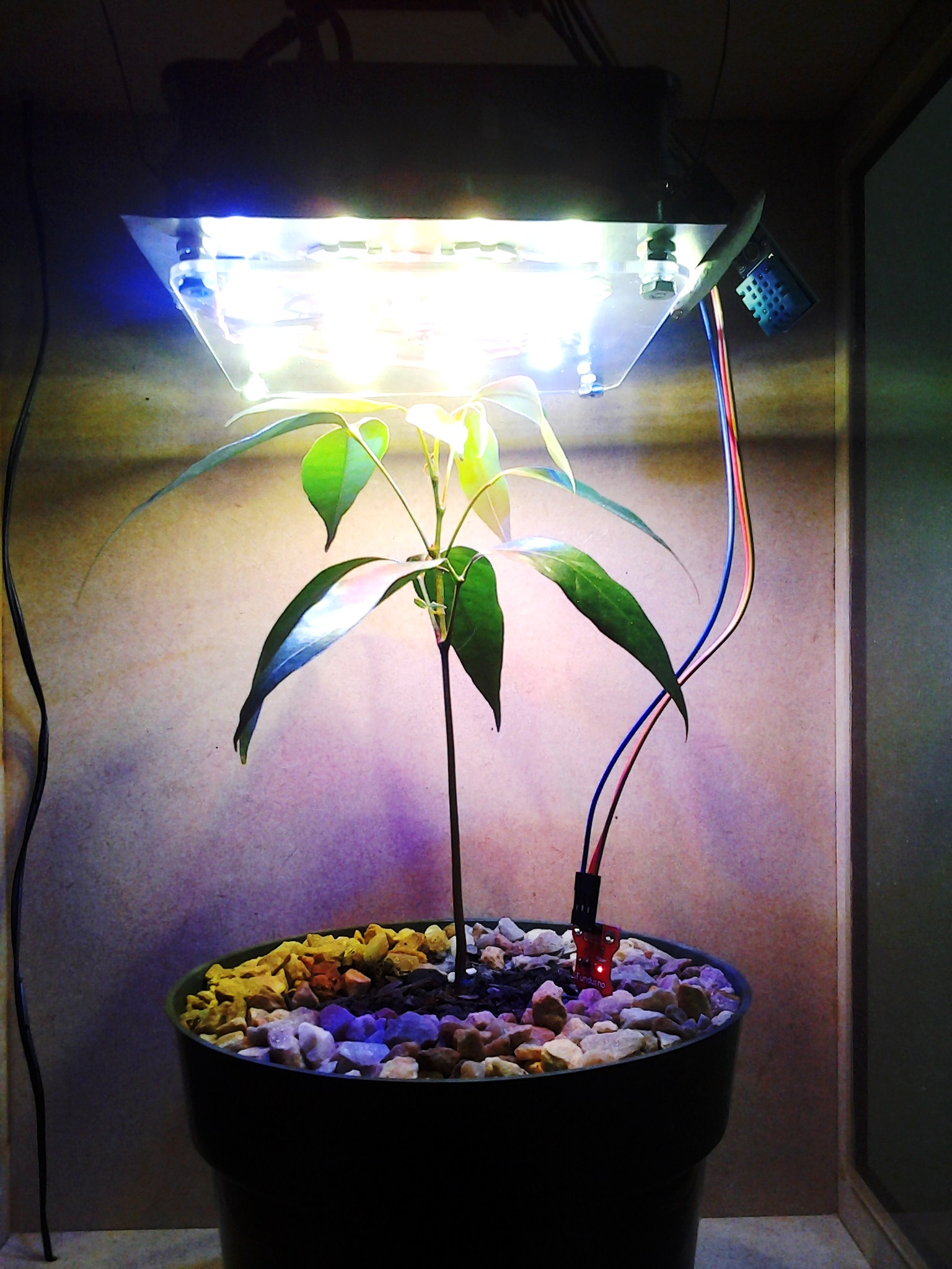 20141230_100359.jpg