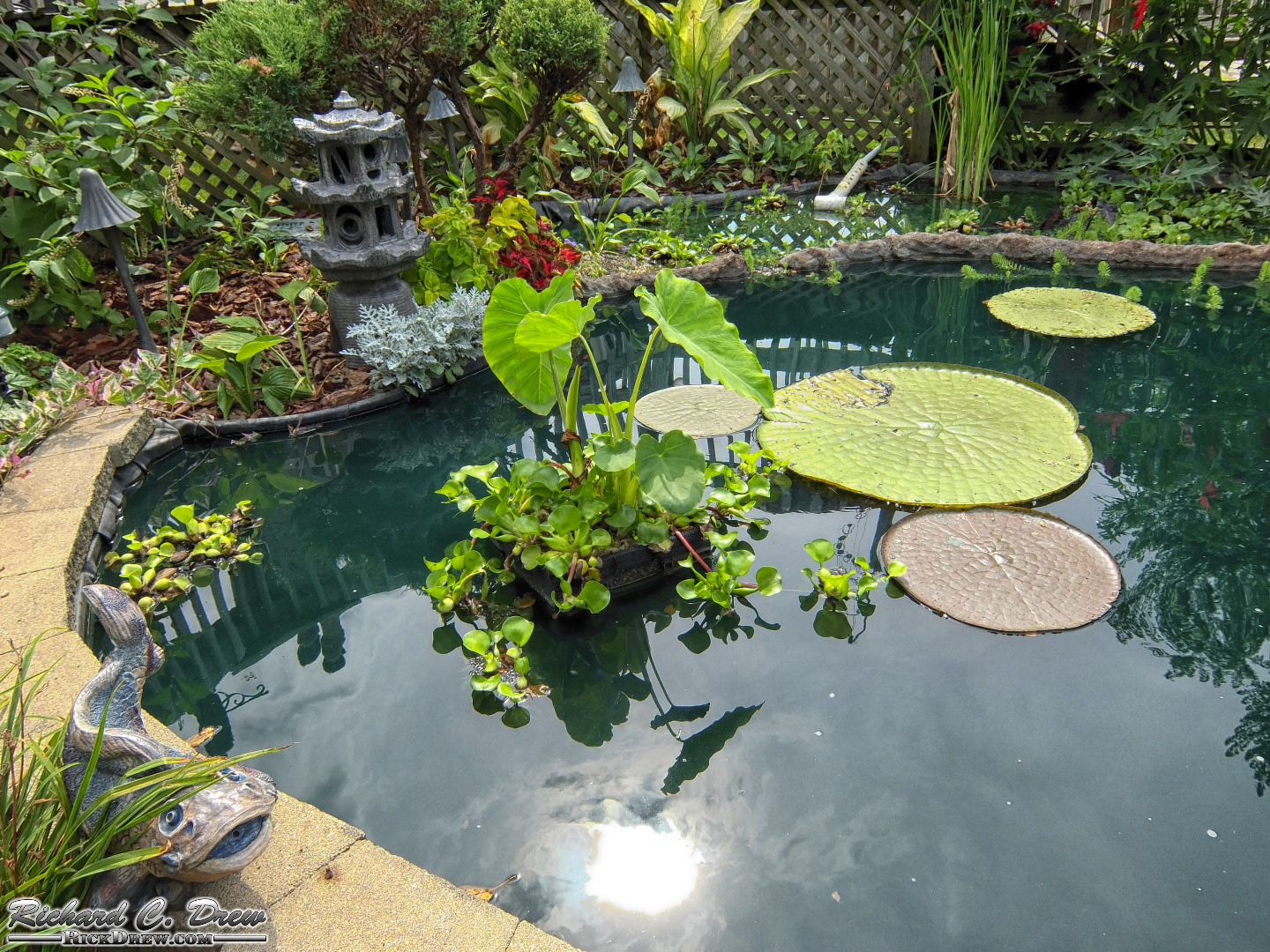 20144864640_f9c905d447_o.jpg