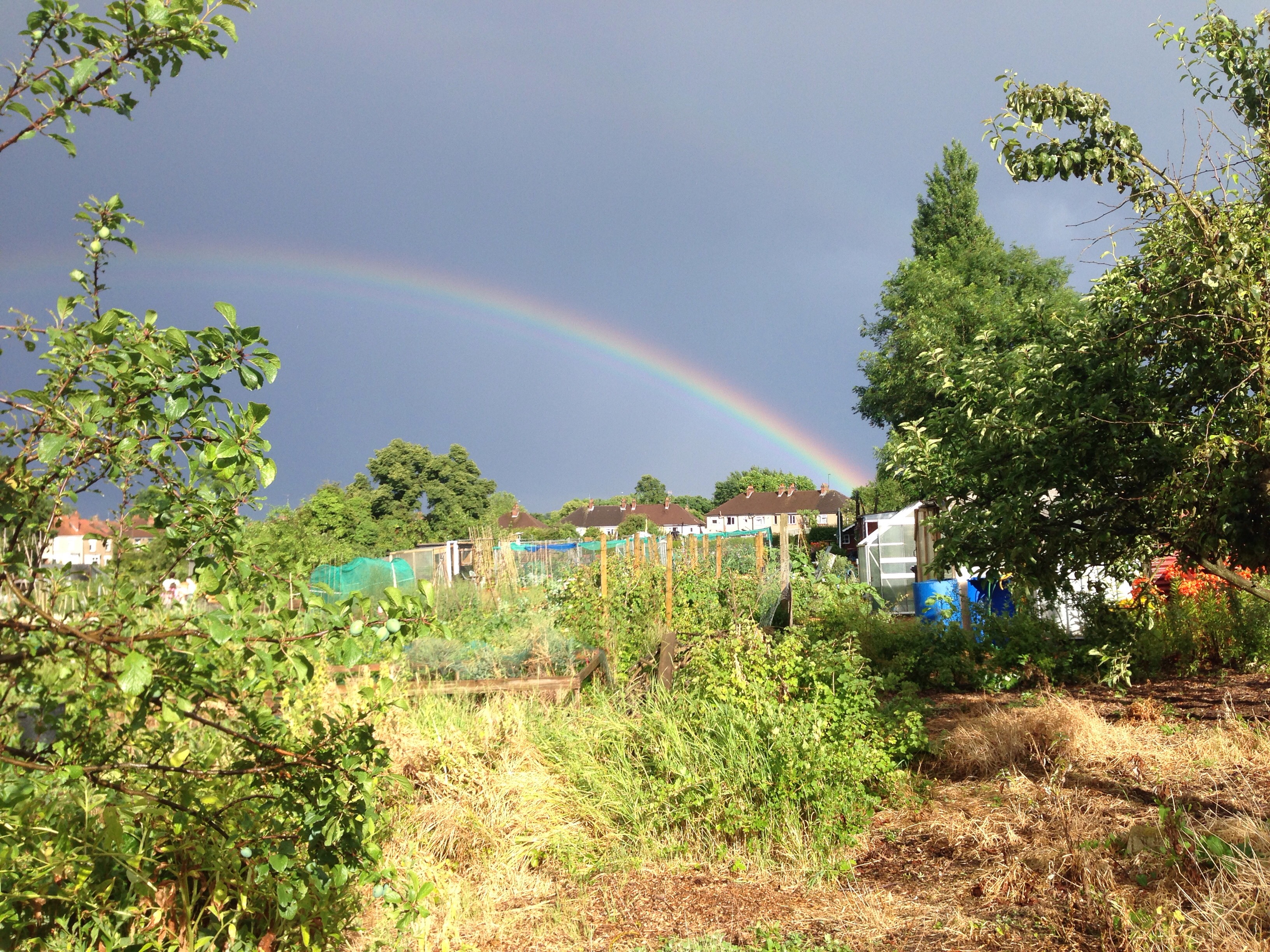 2015 01:42.jpg