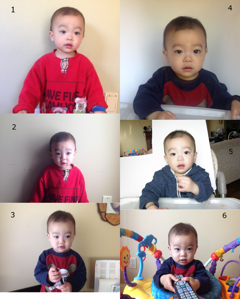 2015 us passport photos.png