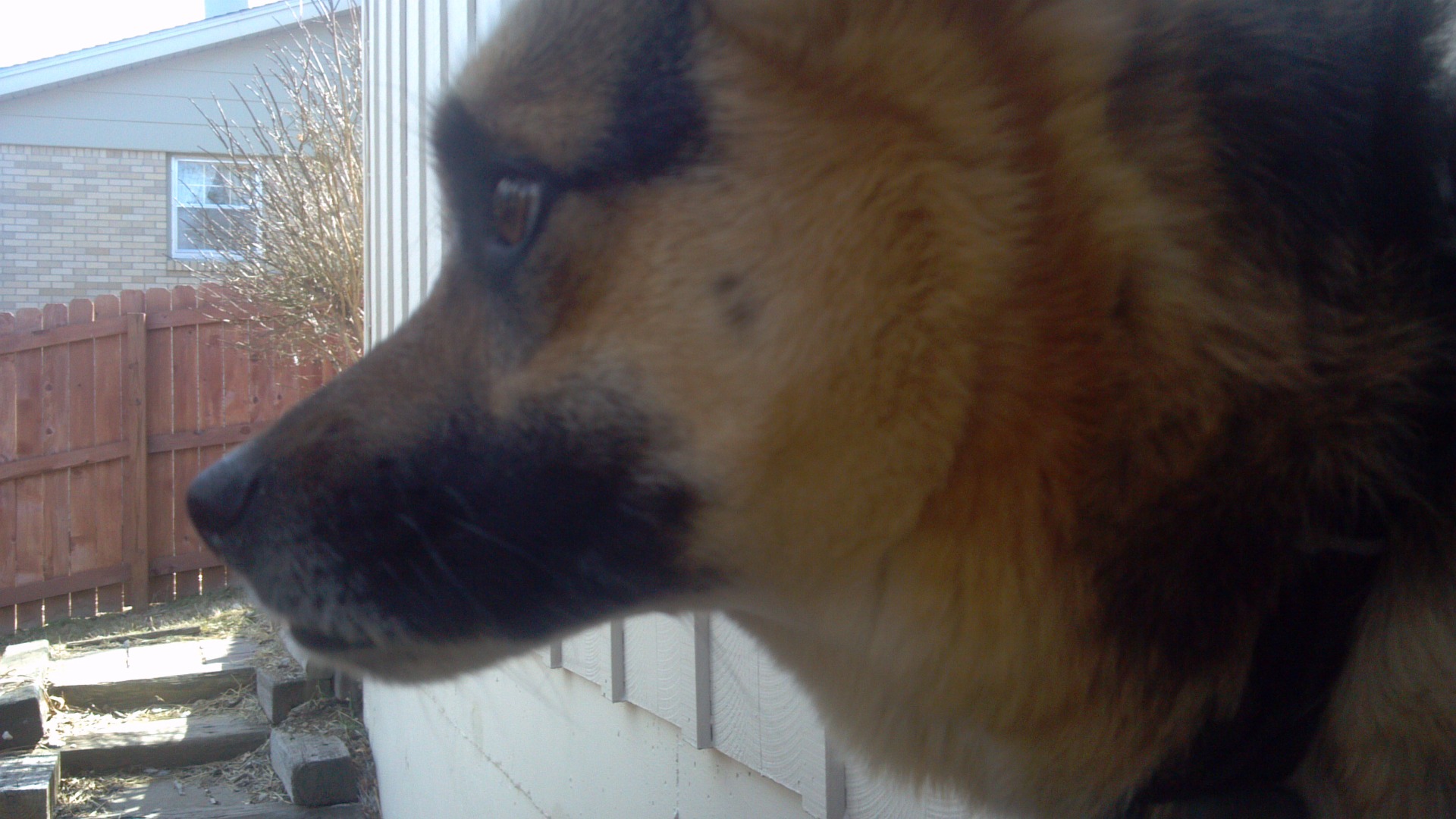 2015-03-15 14.52.58.jpg