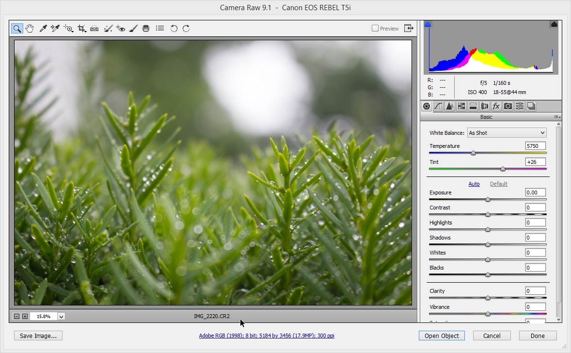 2015-06-28 12_13_27-Camera Raw 9.1  -  Canon EOS REBEL T5i.jpg