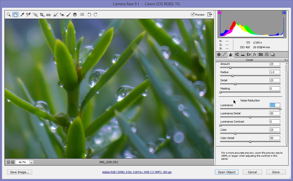 2015-06-28 12_22_53-Camera Raw 9.1  -  Canon EOS REBEL T5i.jpg