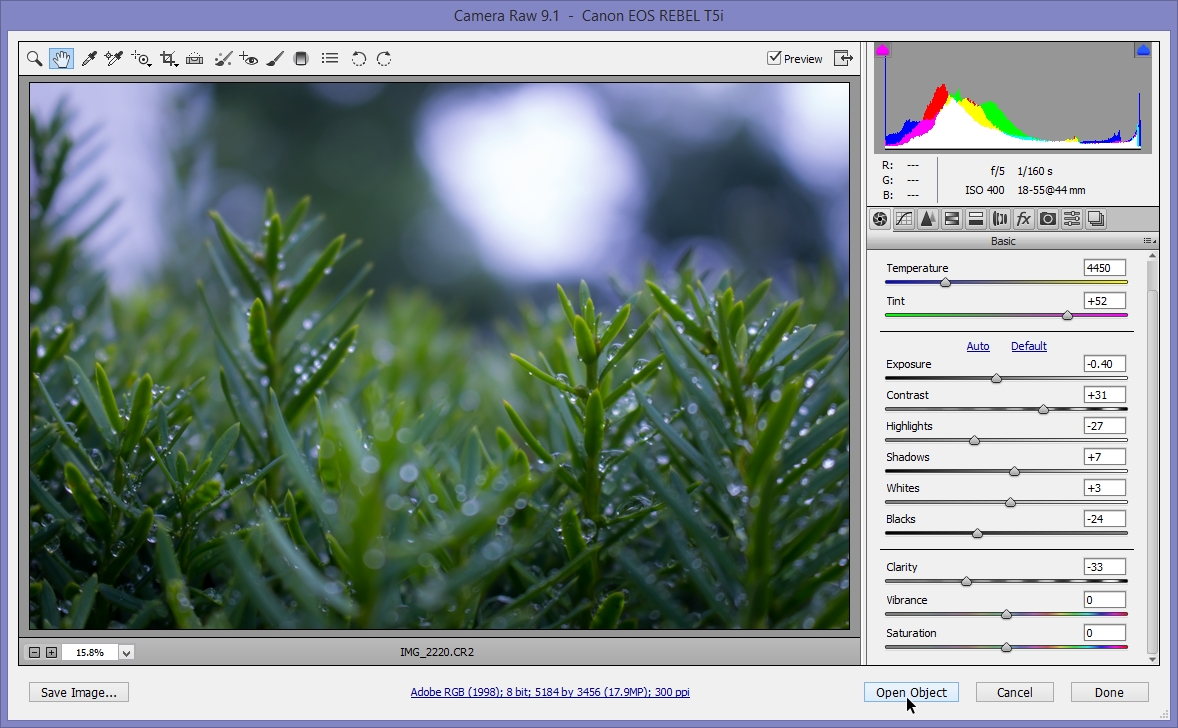 2015-06-28 12_38_55-Camera Raw 9.1  -  Canon EOS REBEL T5i.jpg