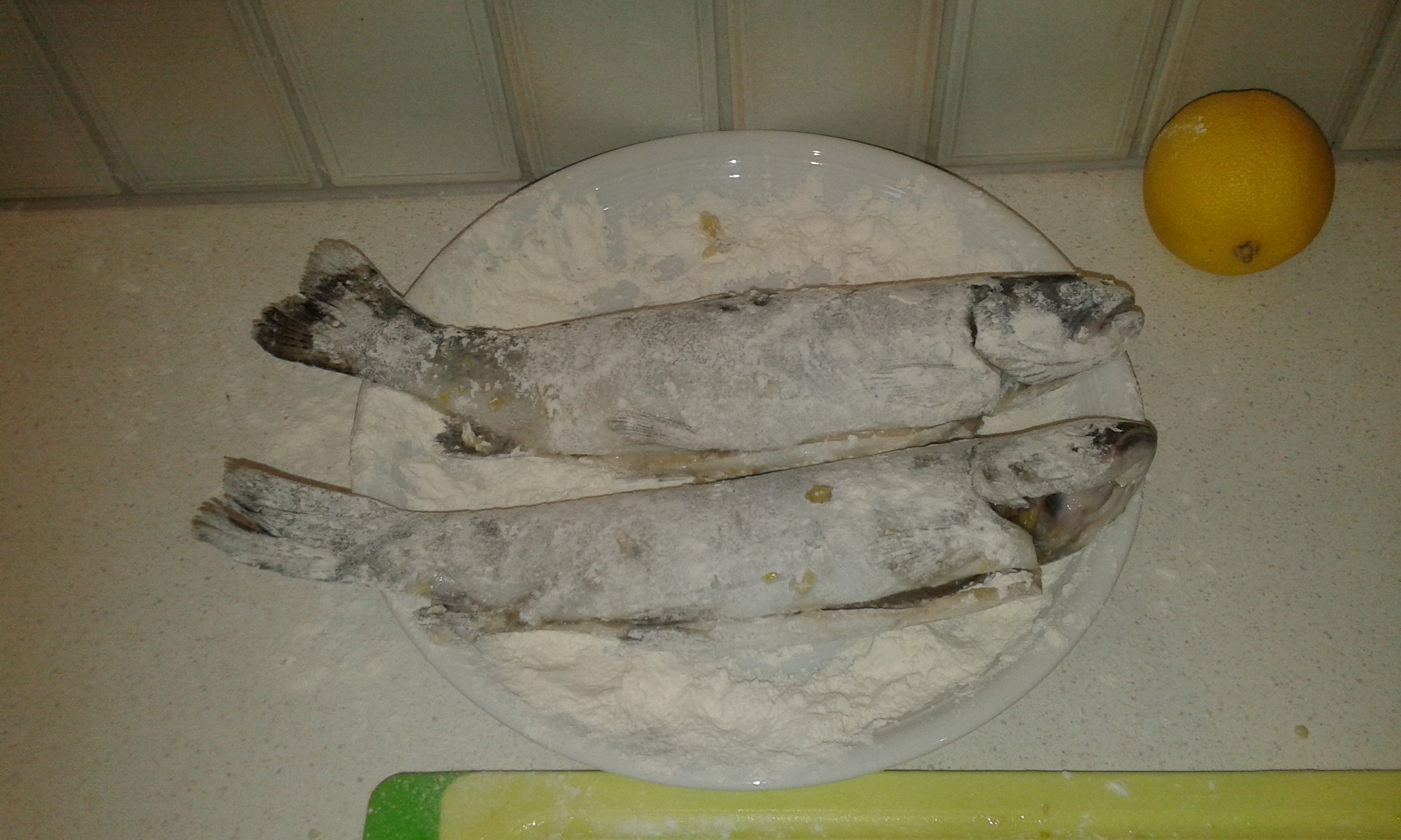 20150210_143203.jpg