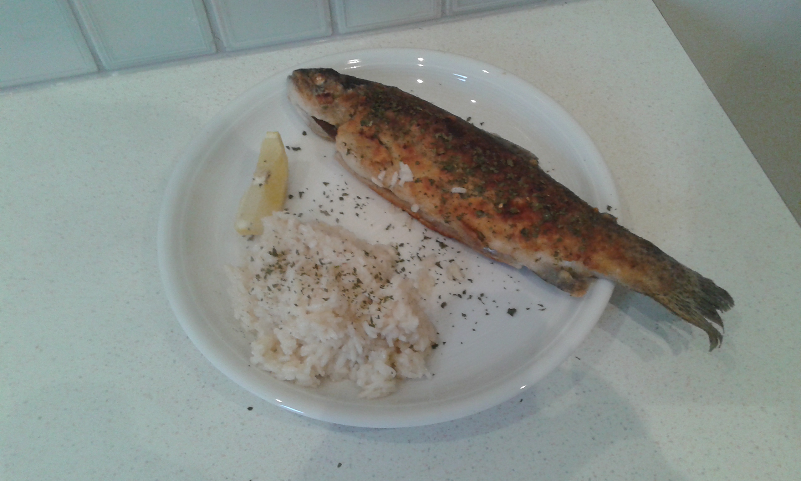 20150210_144944.jpg