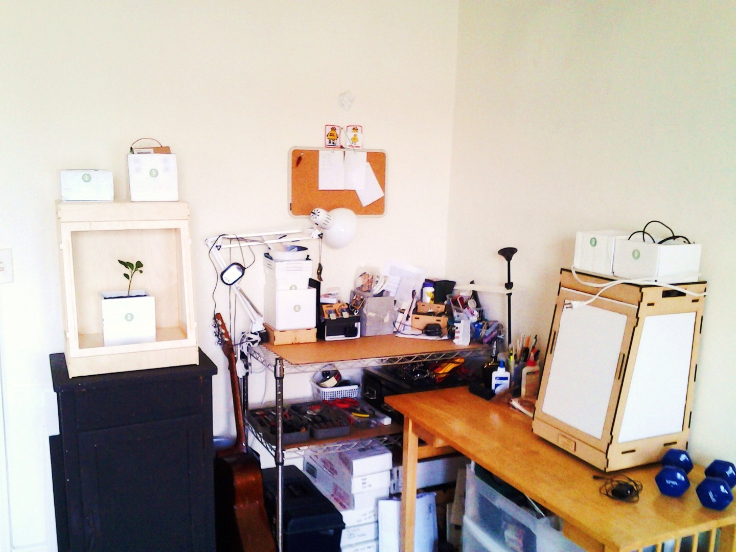 20150321_094652.jpg