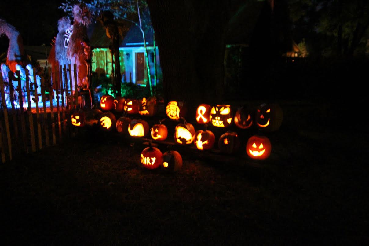 2015Pumpkins.jpg