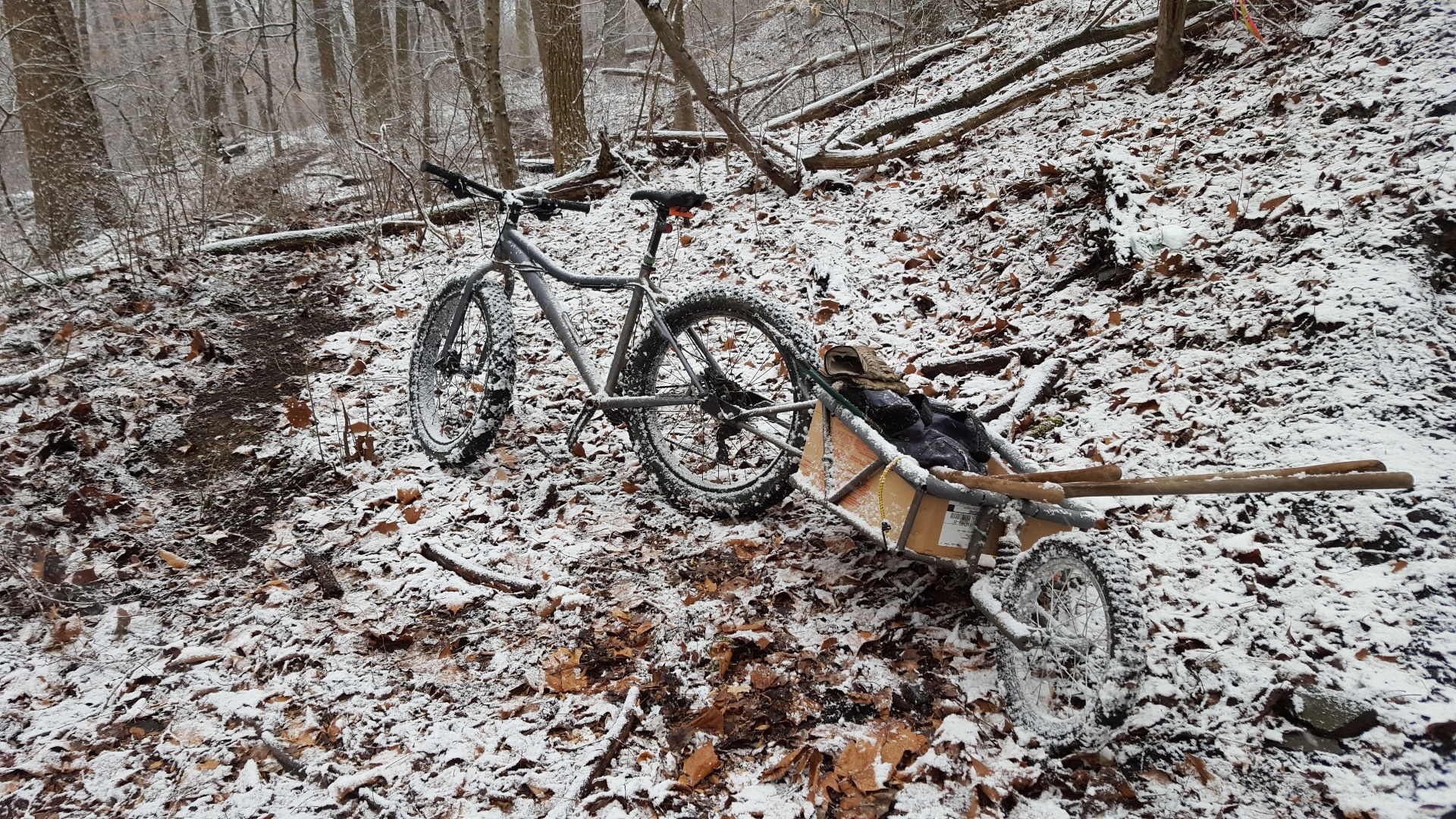 20160117_145914.jpg