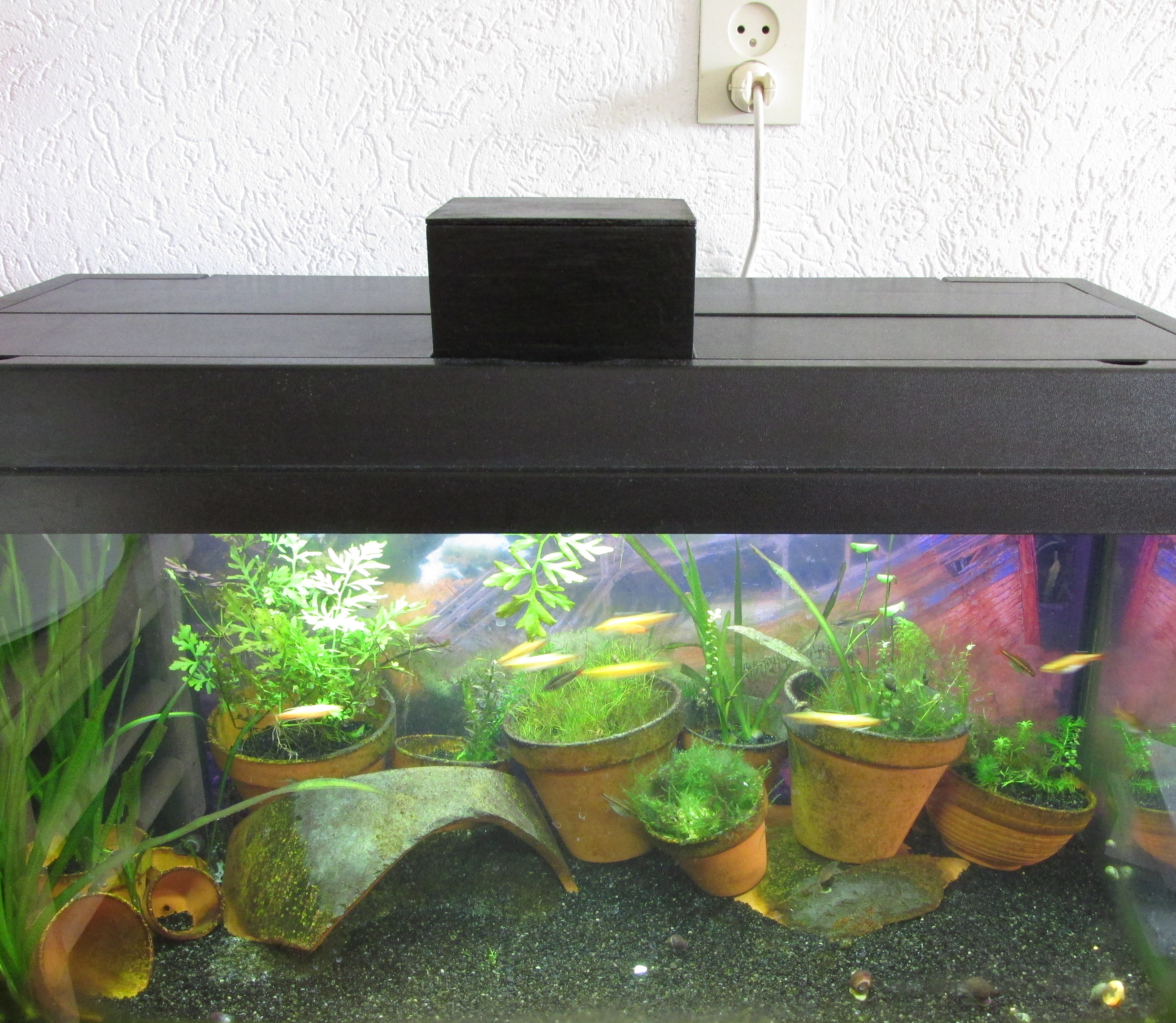 20160415 002 aquarium Fish Feeder.JPG