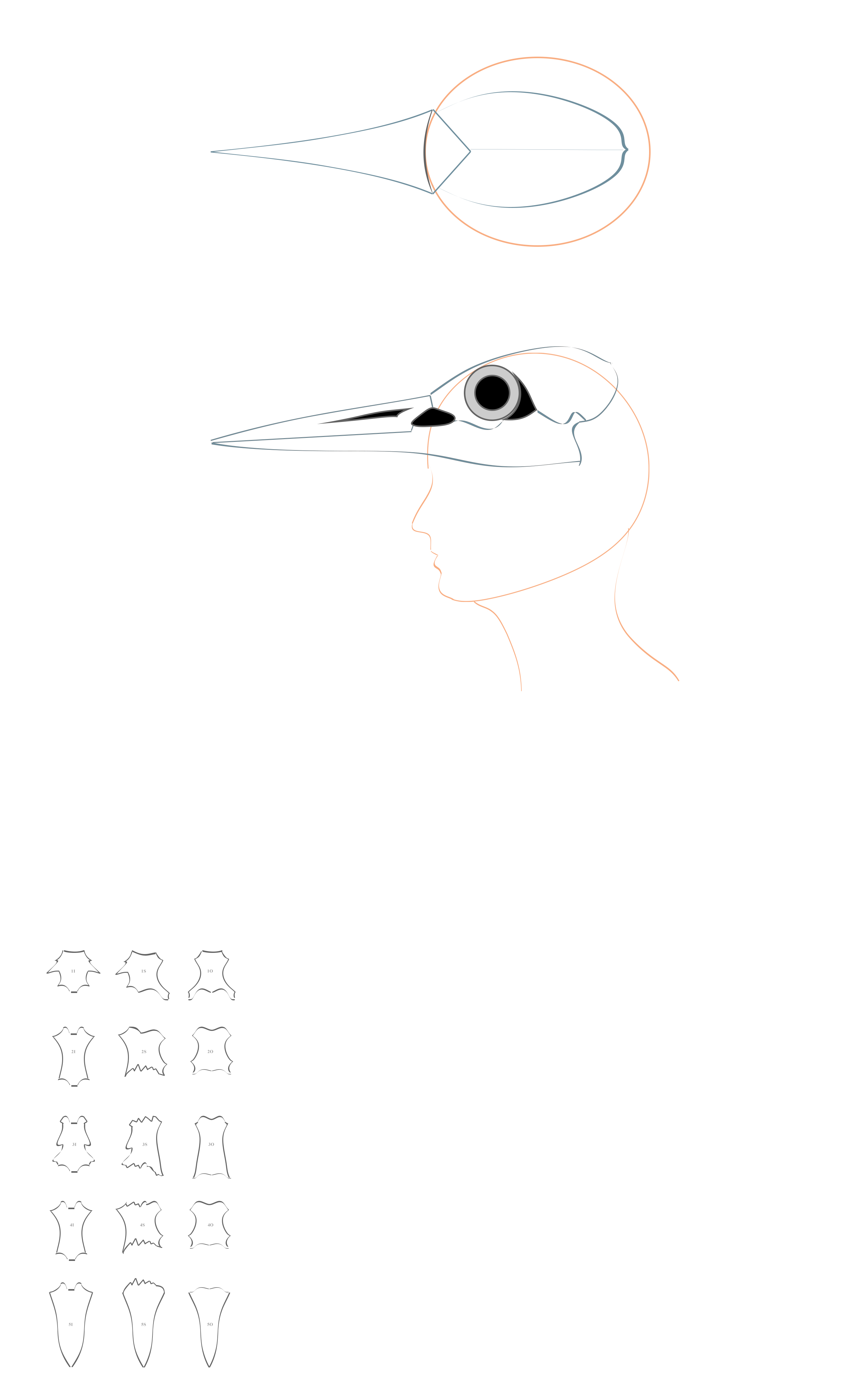 20160524 Bird skeleton headdress v9 pattern CB.jpg