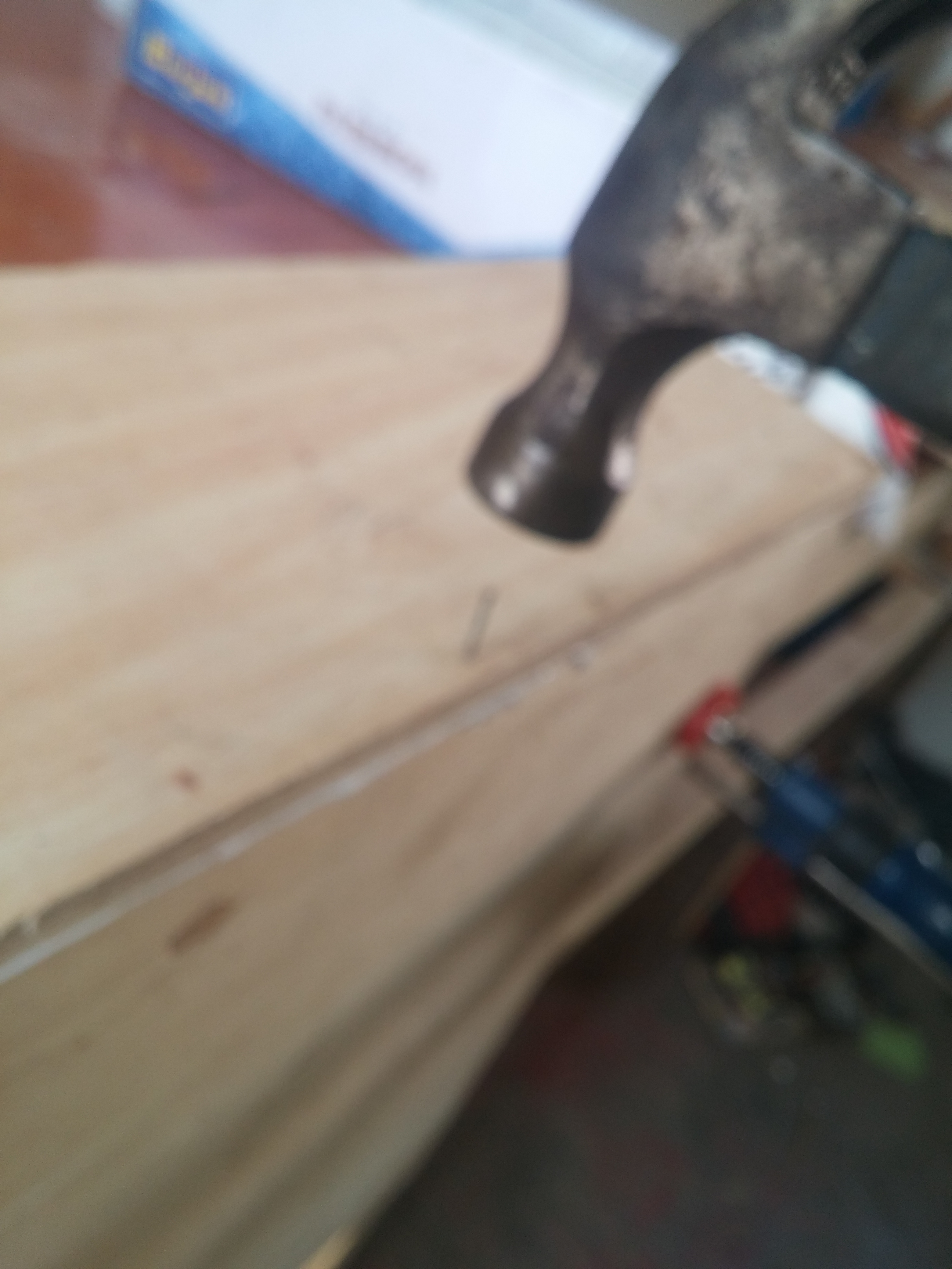 20161114_124530.jpg