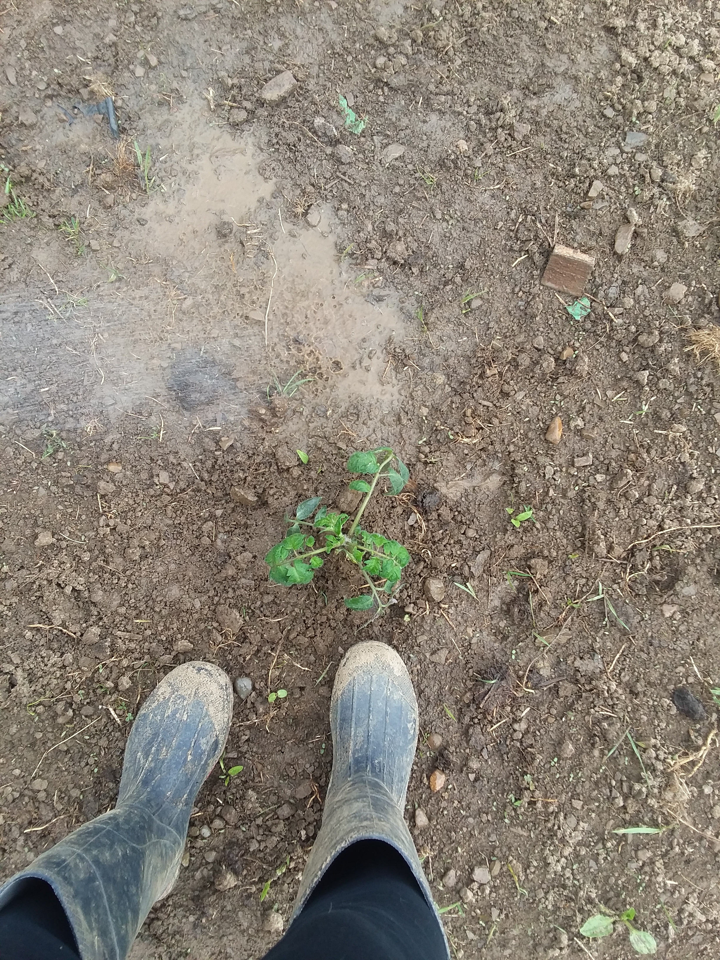 20180514_164208.jpg