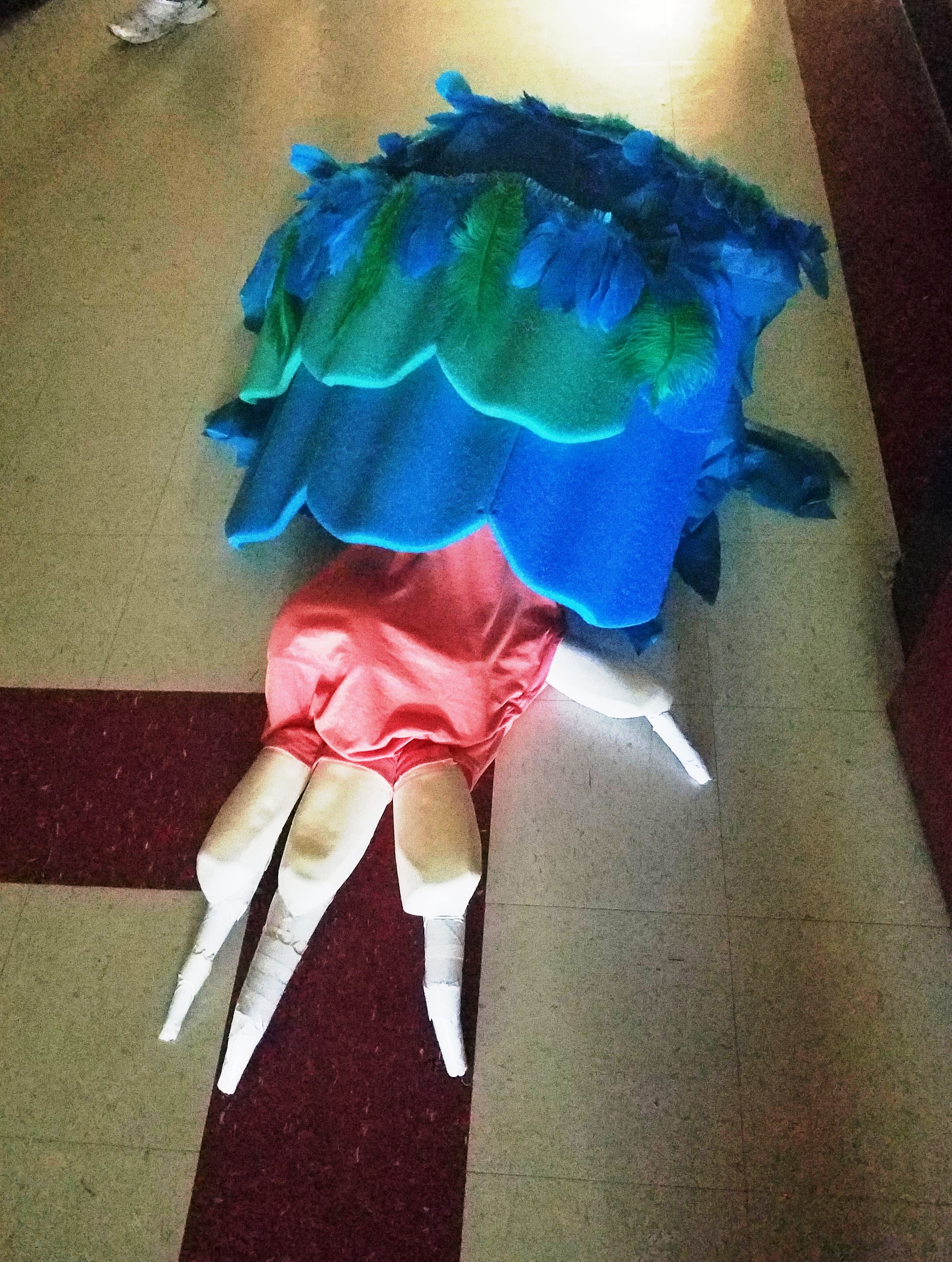 20180516_184231.jpg