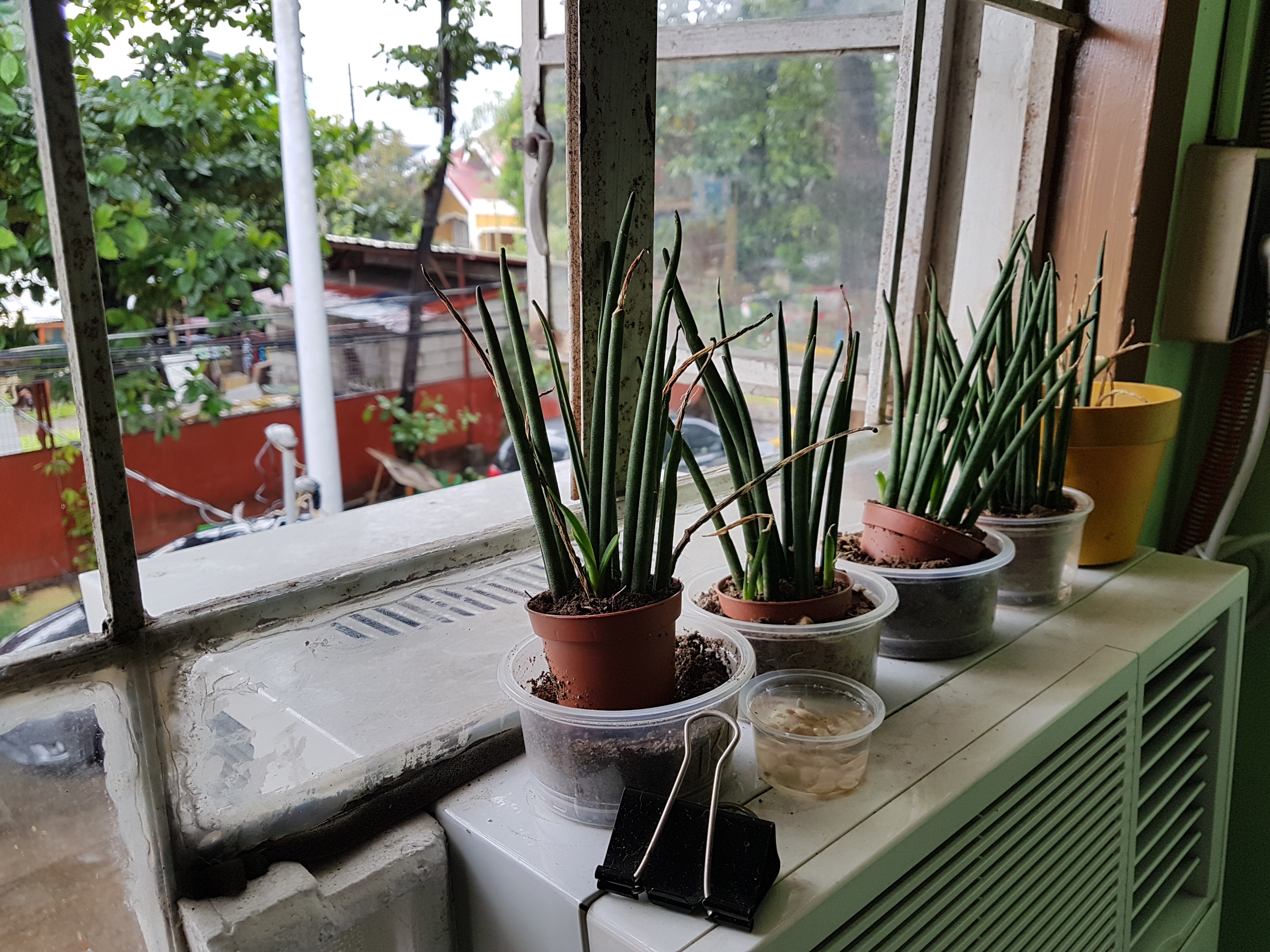 20180612_131935.jpg