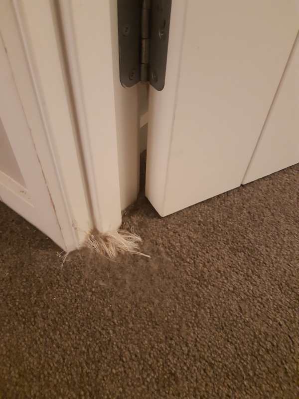 20180705_212049.jpg