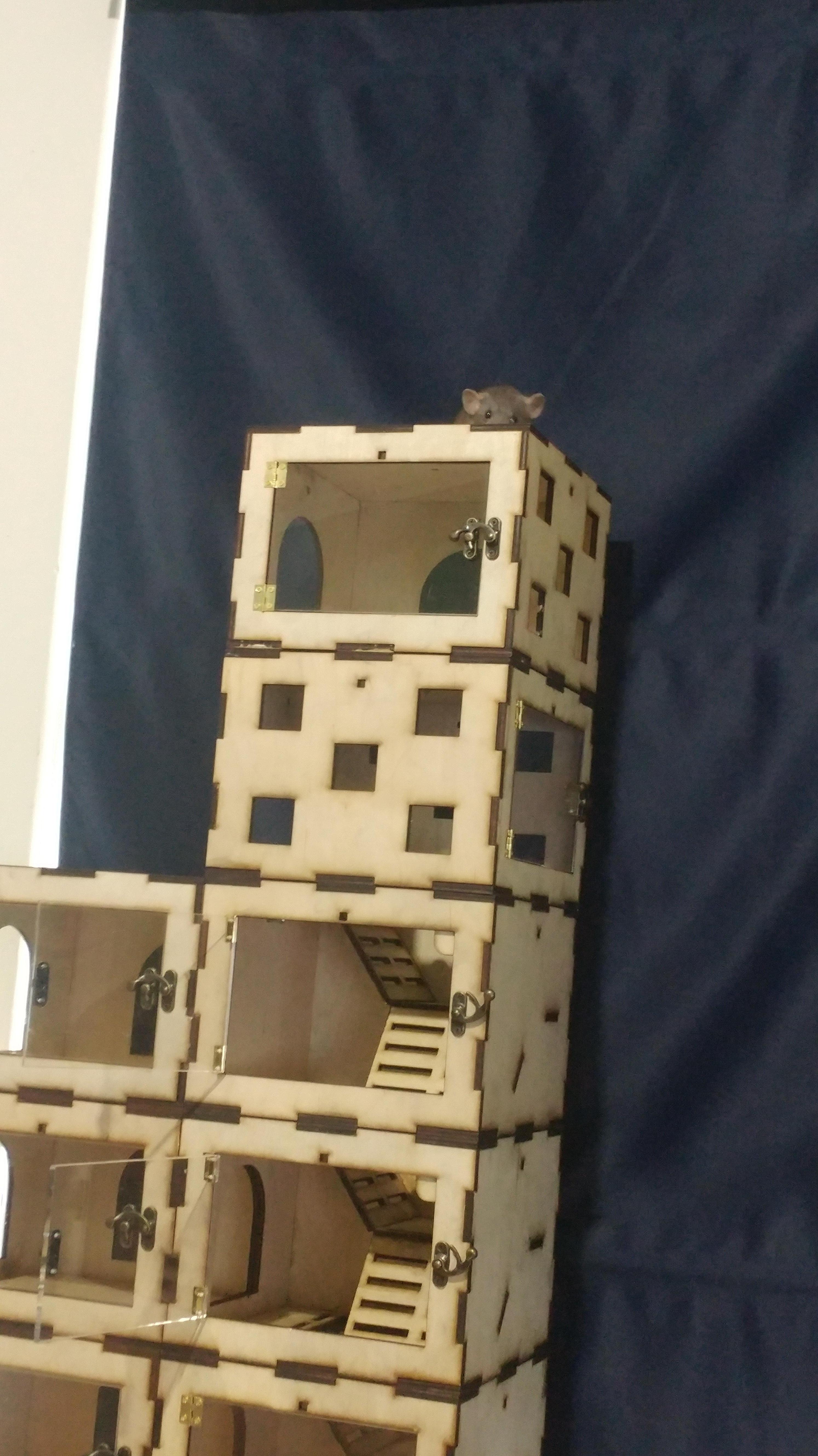20181022_105811.jpg