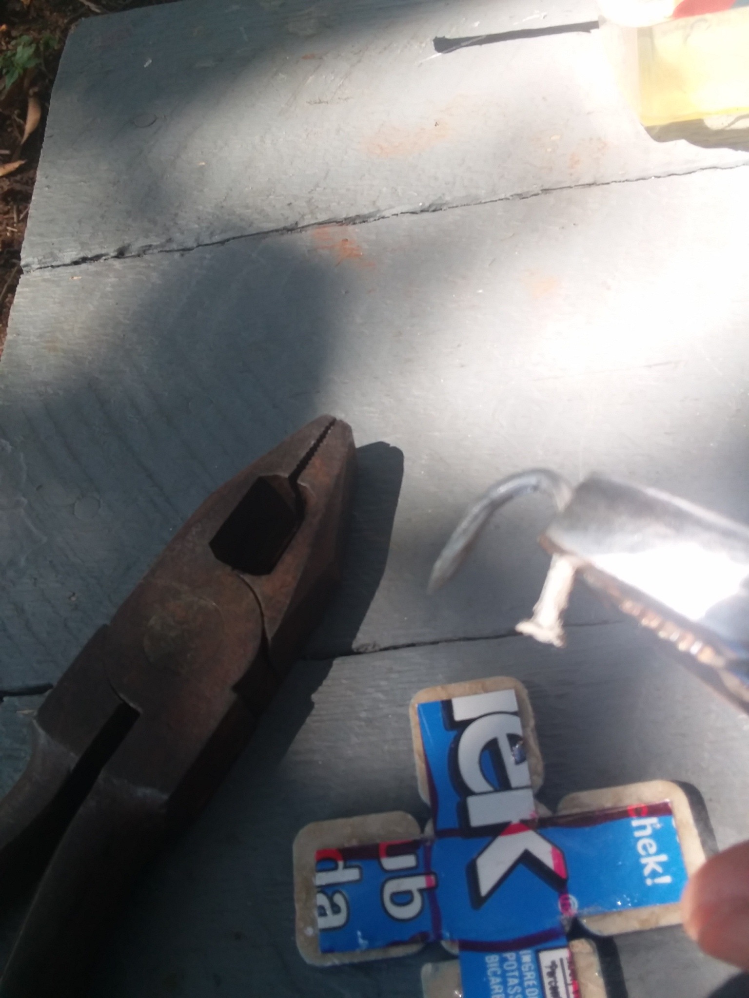 20190414_154757.jpg